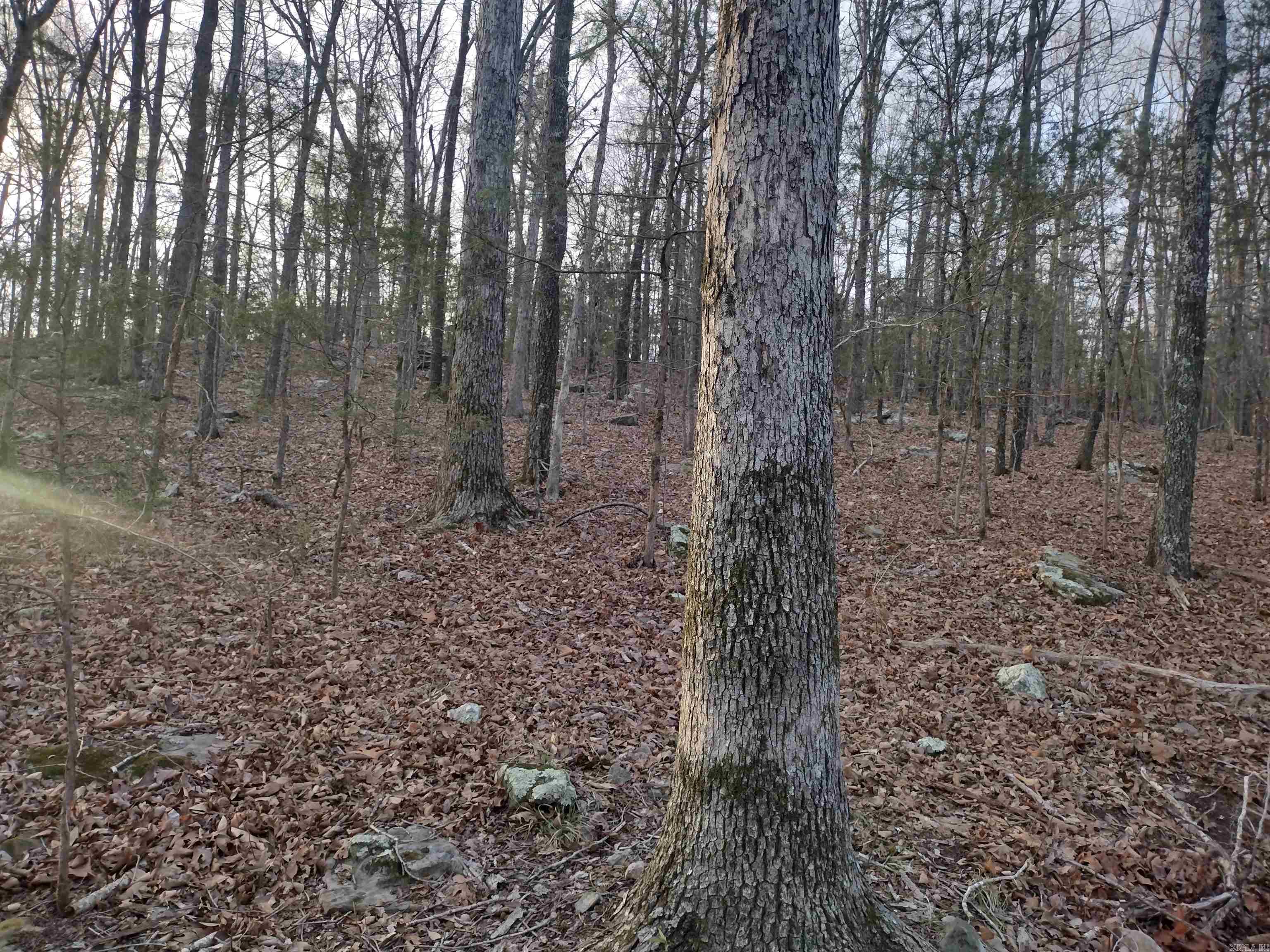 Metes & Bounds - Land