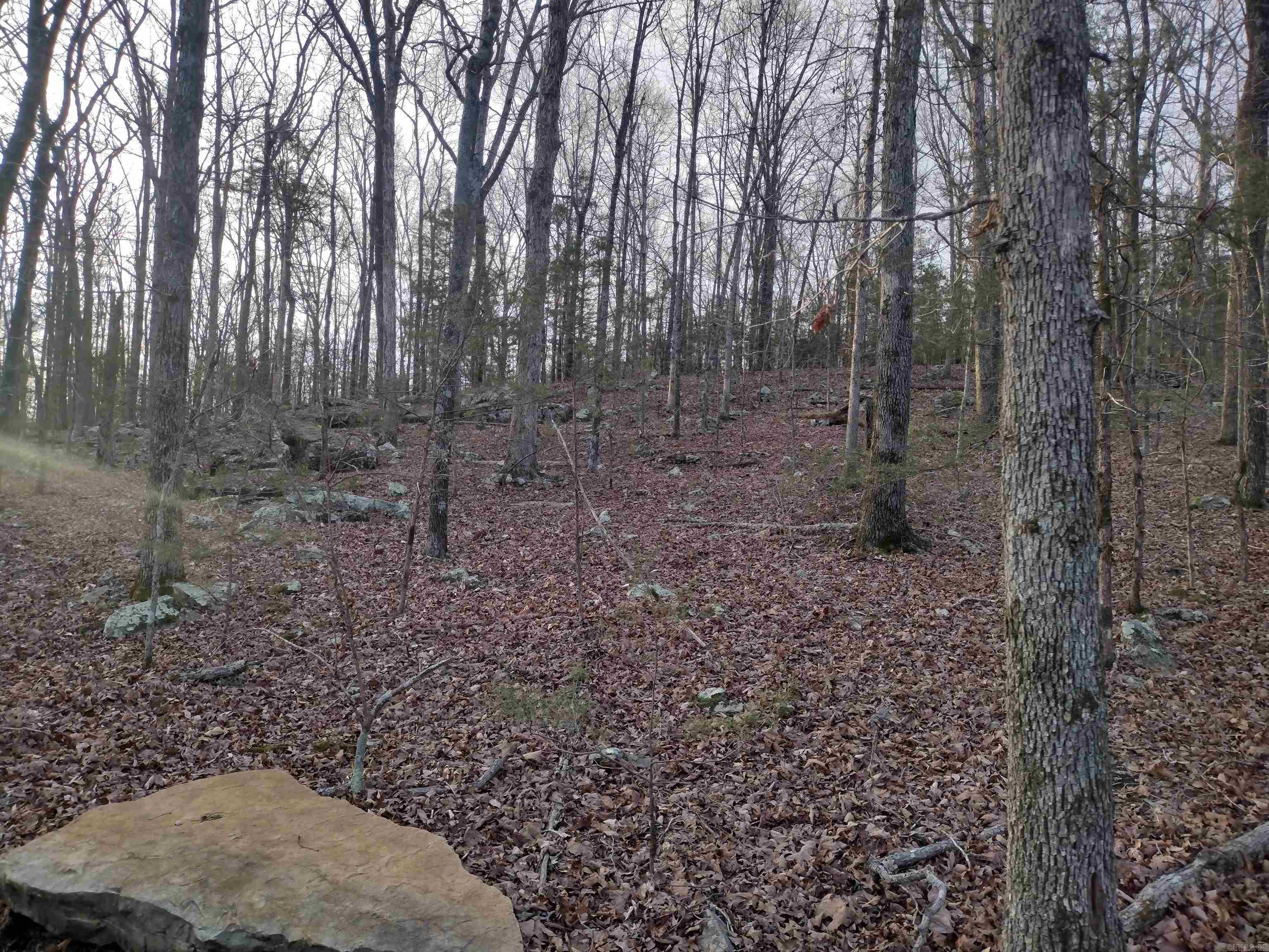 Metes & Bounds - Land