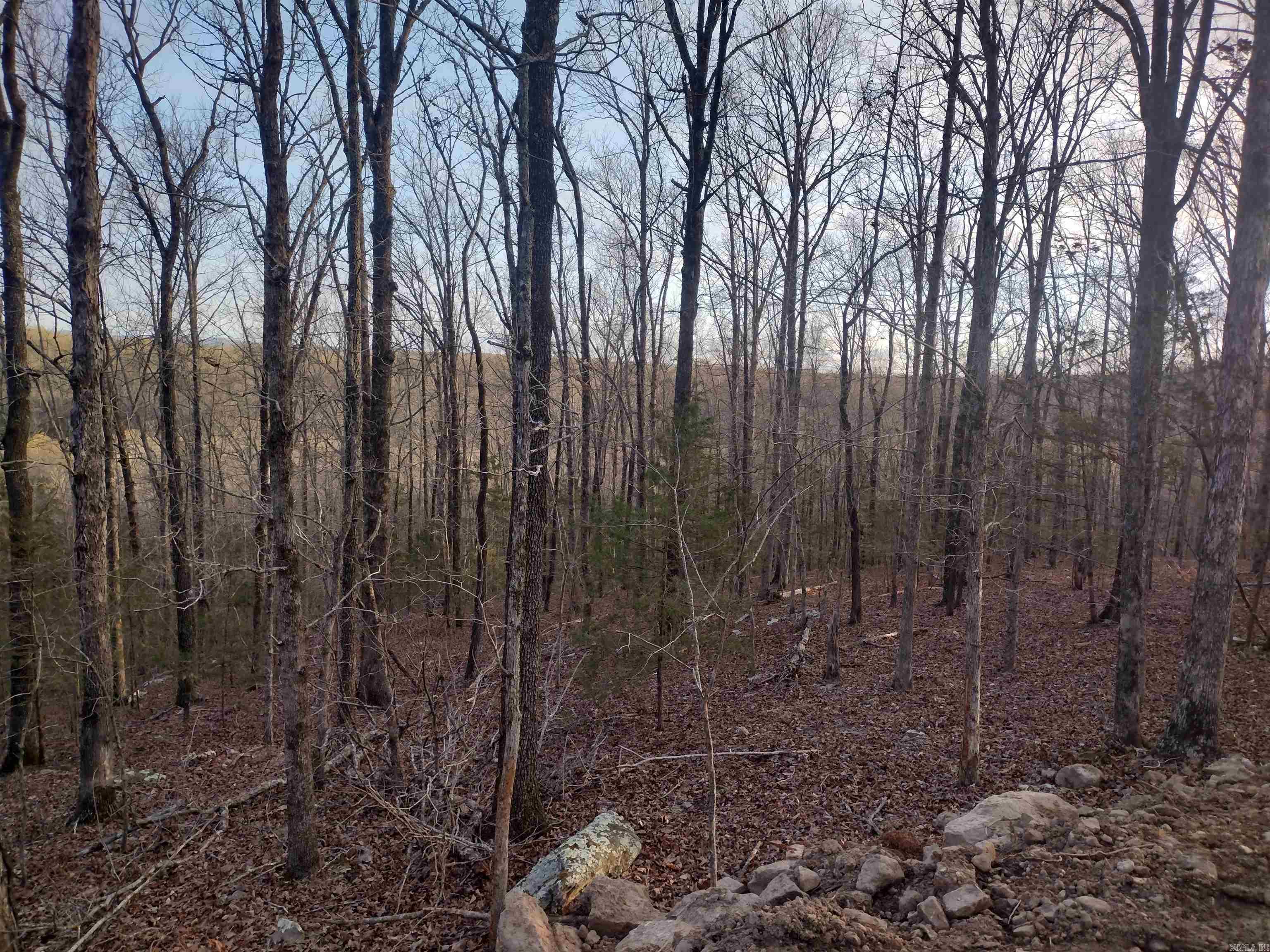 Metes & Bounds - Land