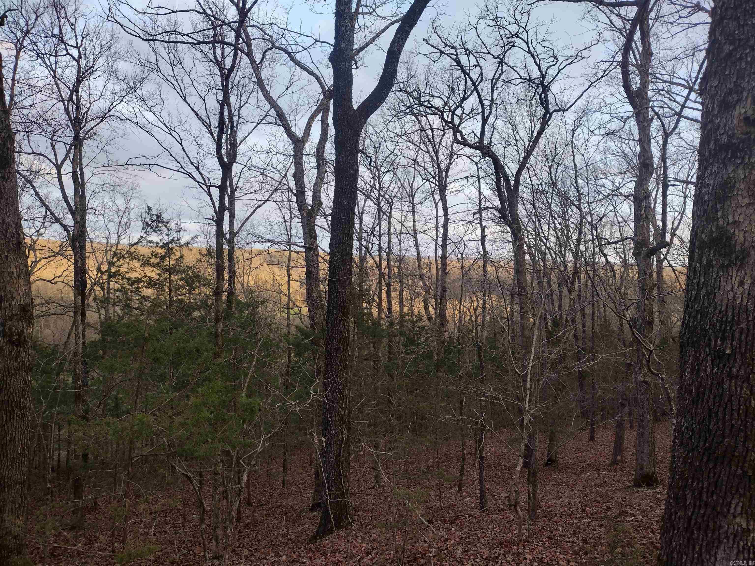 Metes & Bounds - Land