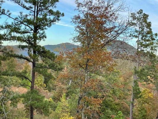 850 JONES CEMETARY RD, CALICO ROCK, AR 72519 - Image 51ba7a622fb2ed0c10c4fd75a3eeffcd/1531653031