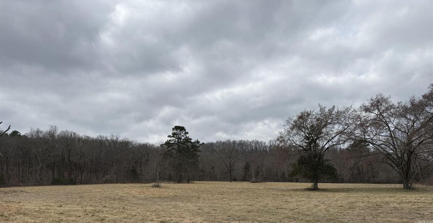 Beautiful 40-acre property located in the highly desirable Greenbrier School District, surrounded by an area of newly constructed homes and growing development. This versatile acreage offers a perfect balance of cleared, level land and gently rolling terrain, including an elevated hilltop with scenic valley views and added privacy. The property features a pond and a smaller seasonal pond, with most of the acreage already fenced. Paved road access extends along the front portion of the property, and utilities are available at the road (not currently on site). Whether you’re looking to build your dream home, establish a farm or ranch, or invest in land with strong future potential, this property offers an exceptional opportunity.