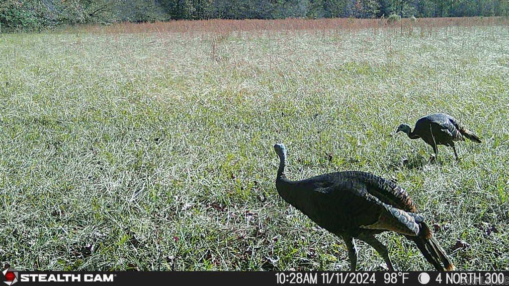 Not in Subdivision - Land