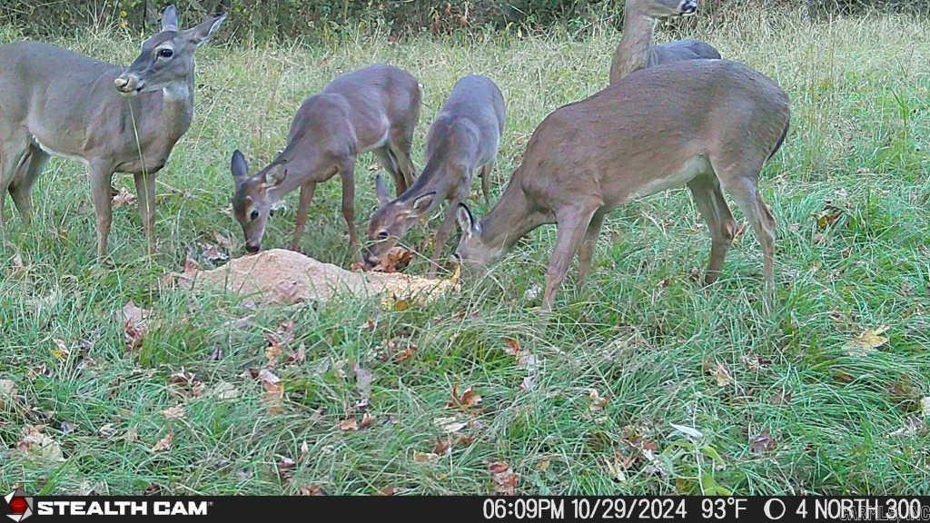 Not in Subdivision - Land