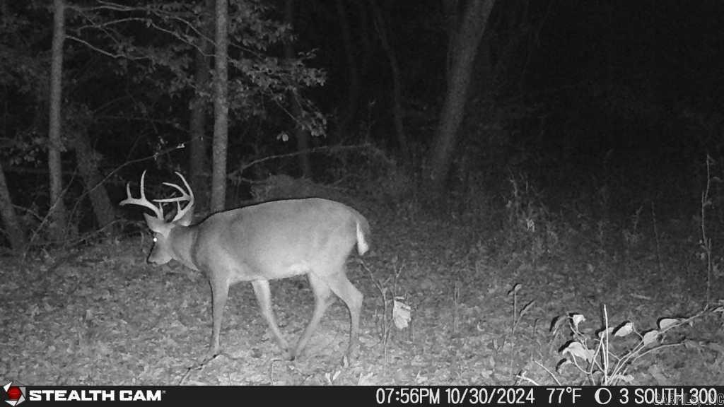 Not in Subdivision - Land