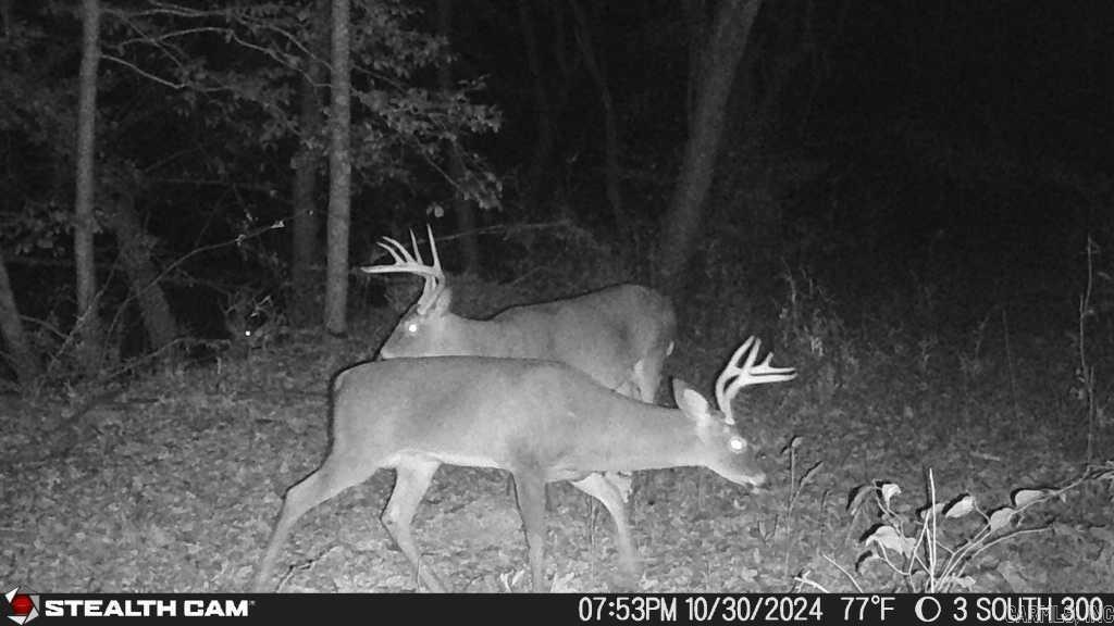 Not in Subdivision - Land