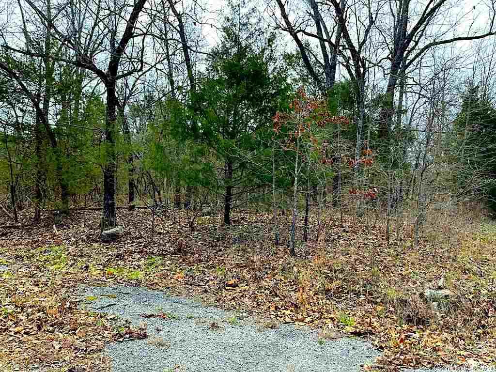 Nice level corner lot that is close to everything. A state approved perc and survey will be required for the septic system in order to build.