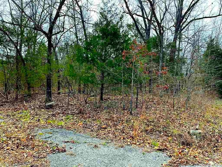 Nice level corner lot that is close to everything. A state approved perc and survey will be required for the septic system in order to build.