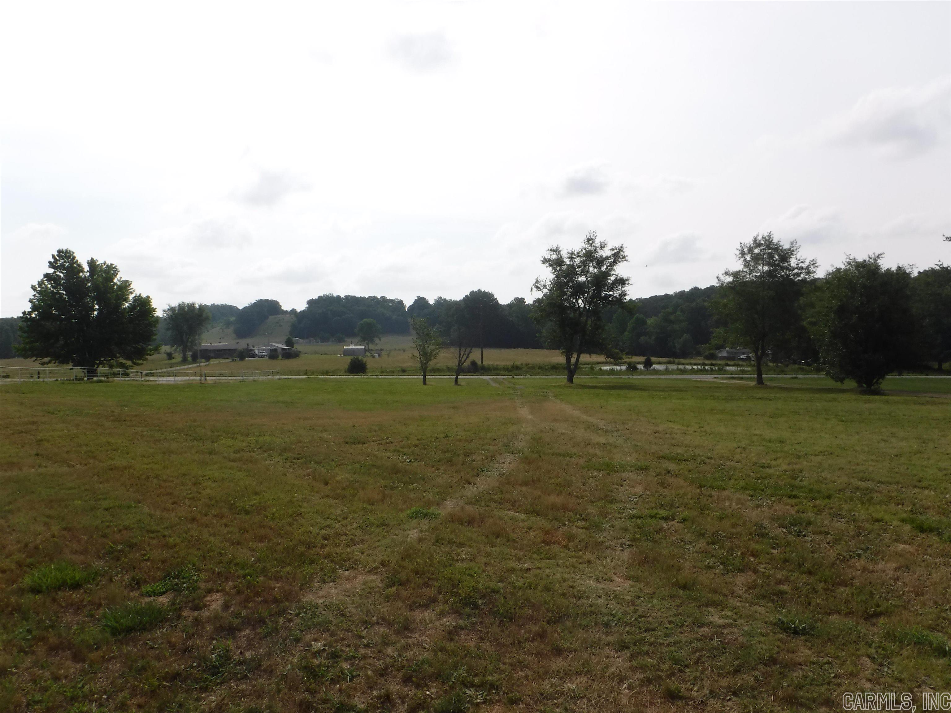 Bordering Hwy 9 on the south end of Center Ridge Arkansas is this 26.7 acre tract of undeveloped potential. A great location to build your new home and be able to enjoy hunting white tail deer on your own place. There are approximately 17 acres of 13-14 year old planted pines, ready for their firs thinning. This location has produced some nice deer in years past. There is a seasonal creek and a pond to provide water for the game. Plenty of shooting lanes and area to ride you atv's as well. Come check it out. Great location with an easy commute to Conway or Little Rock.