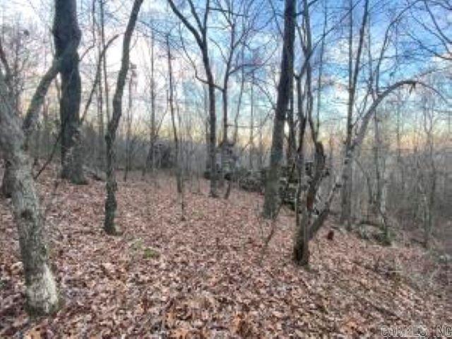 Incredible chance that will not last! 40.45 acres of land 5 miles from Southside School with good access tucked into the wildlife sanctuary of Hutchison Mountain in the Ozark Mountain range! In the photos provided by the owner, you will see Whitetail deer and turkey as well as incredible rock formations. Power is already available for that cabin you've wanted and trails are in place to explore! Access by deeded easement is off Cool Mist Lane on Whiskey Creek Lane. The ability to have quick access to escape the demands of the world make this a great find!