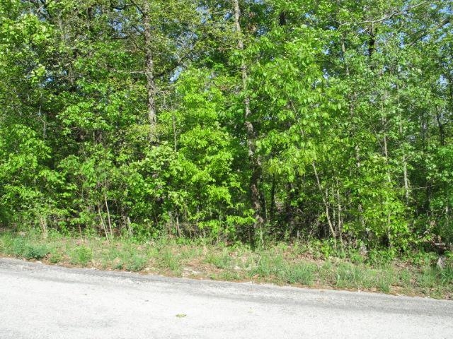 3.3 Acres in Prime Location! Always wanted to build your dream home close to a river and golf course? Here's your chance! This 3.3 acre tract is literally minutes from the South Fork River and an easy golf cart ride to the Cherokee Village North Golf Course Pro Shop. Plenty of space for a very nice home and outdoor room entertaining and relaxing.
