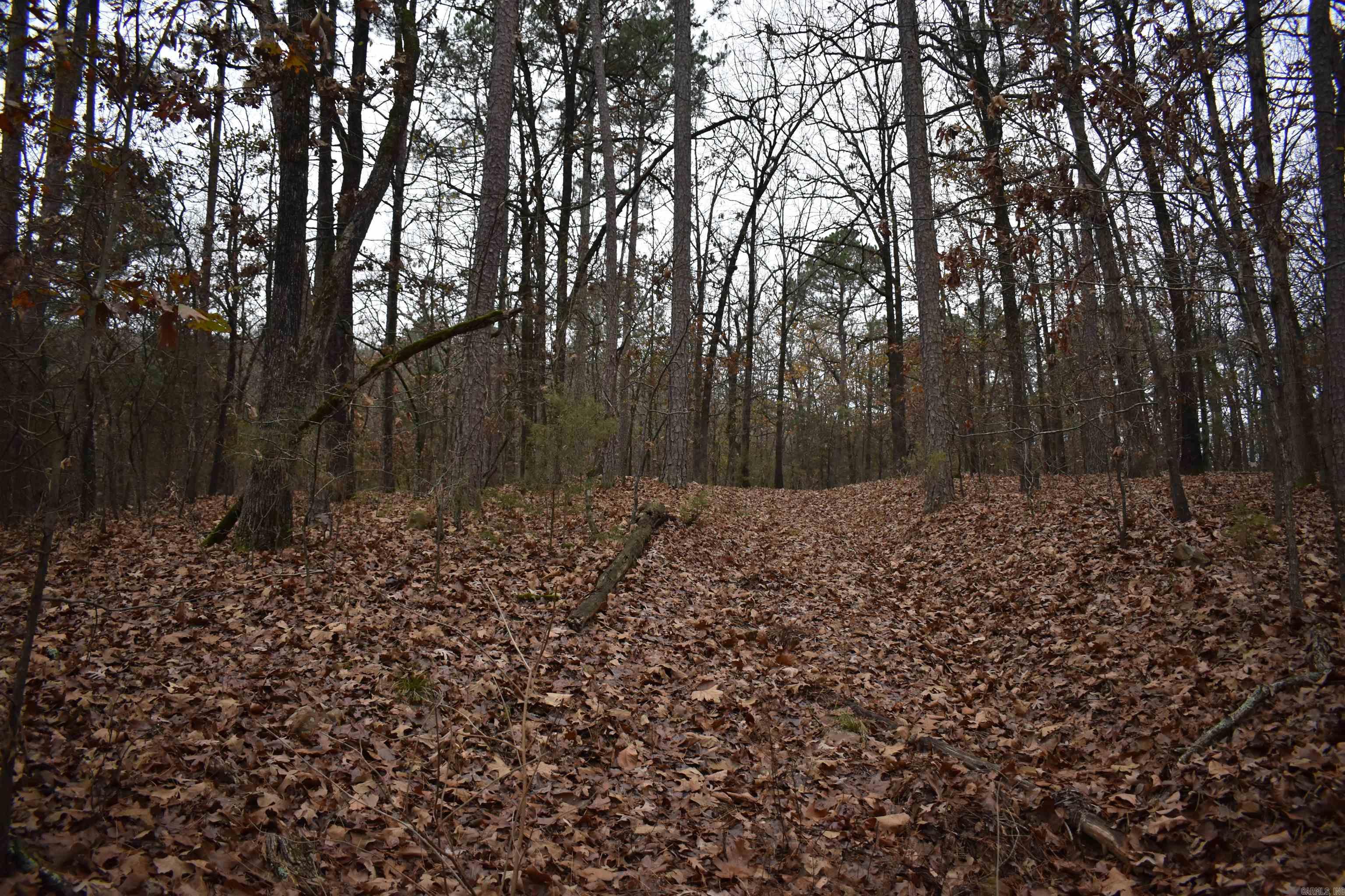 Metes & Bounds - Land