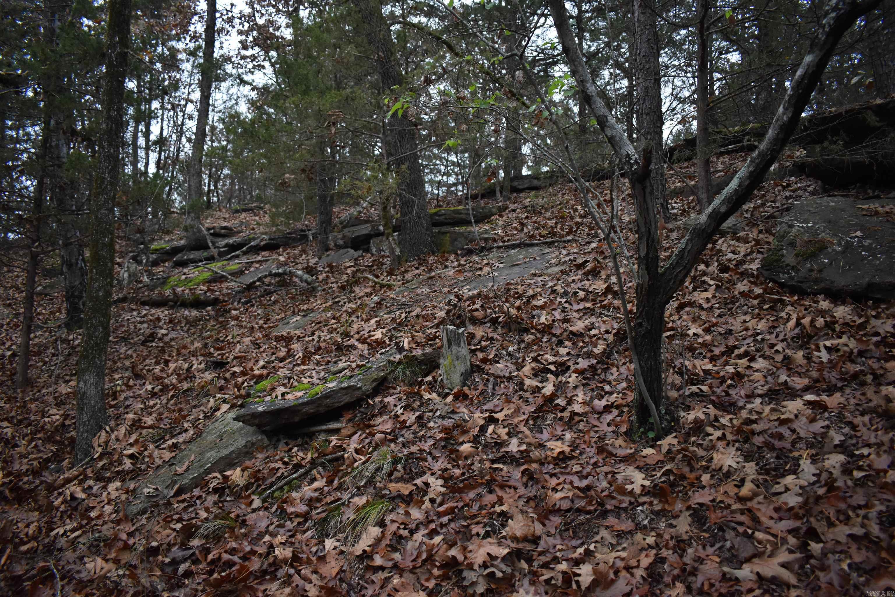 Metes & Bounds - Land