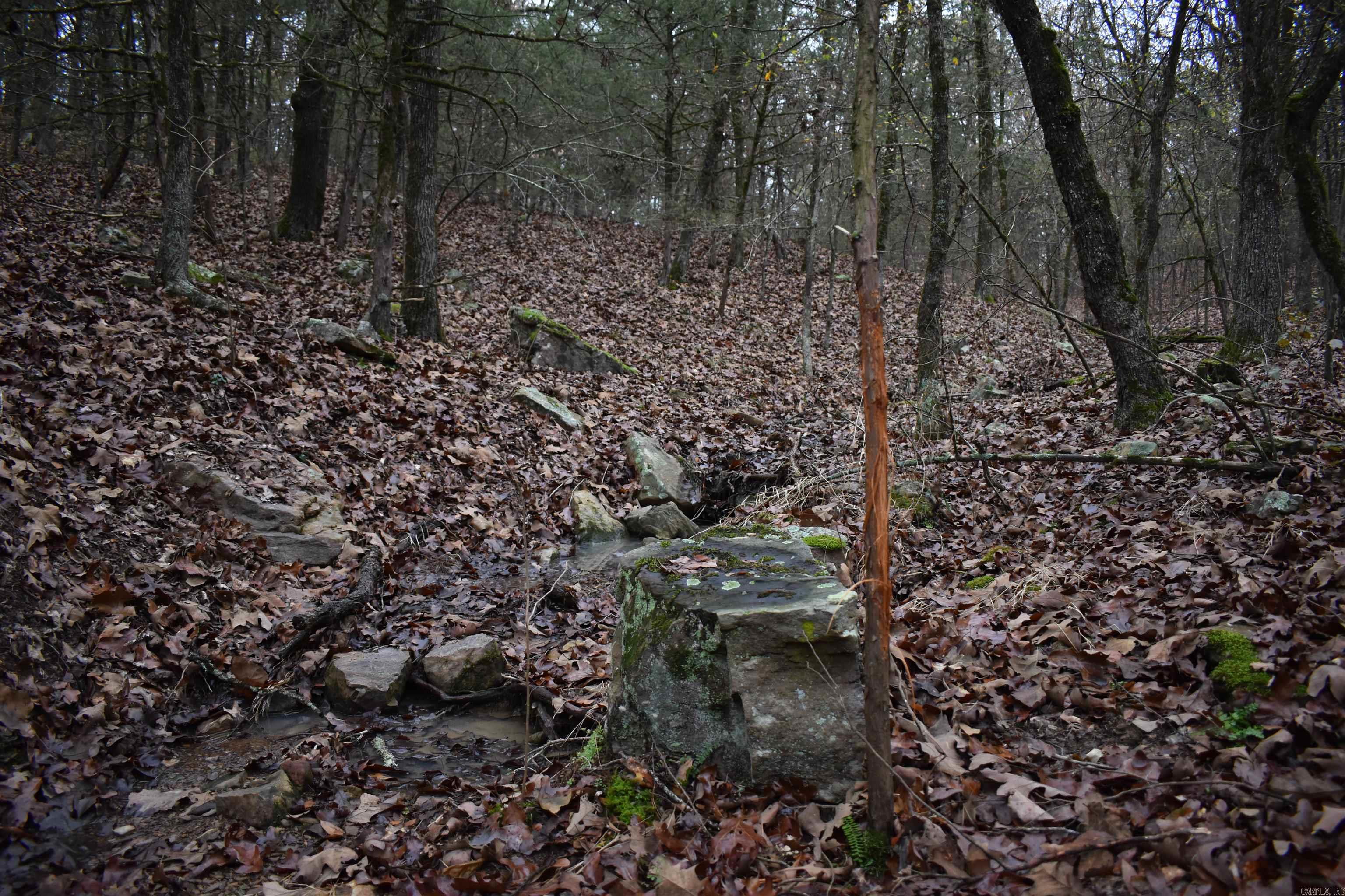 Metes & Bounds - Land