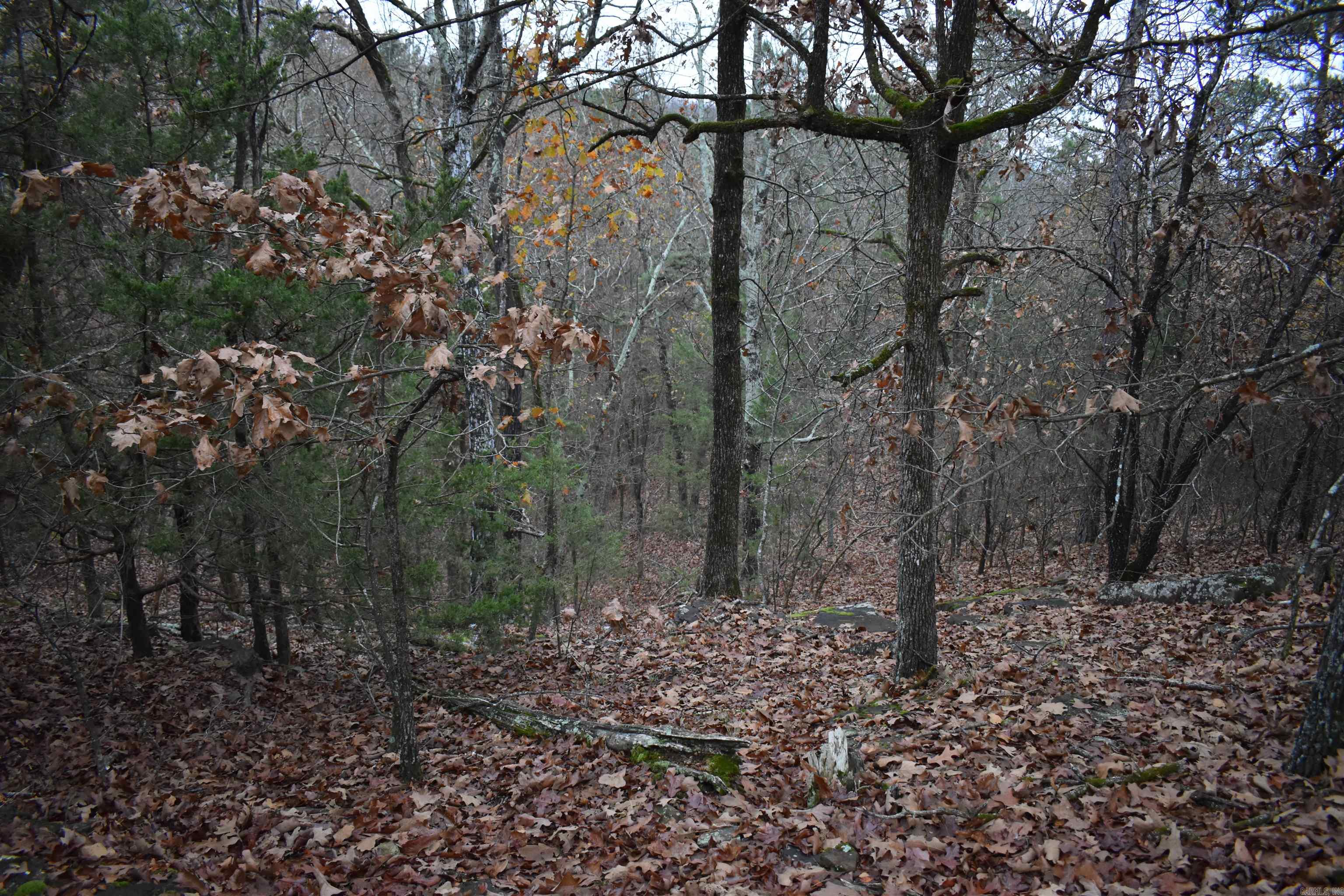 Metes & Bounds - Land