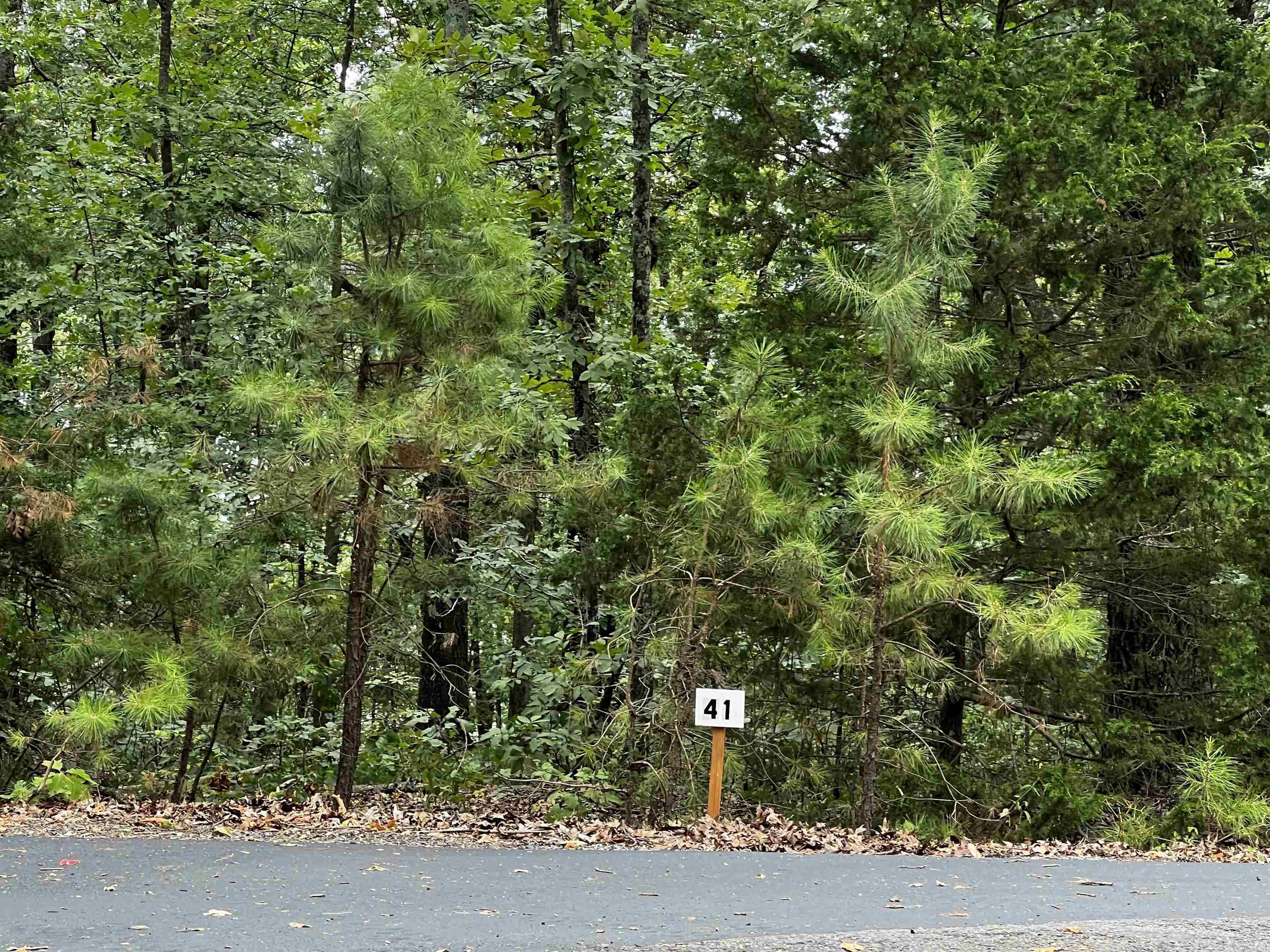 Diamond Bluff Estates - Land