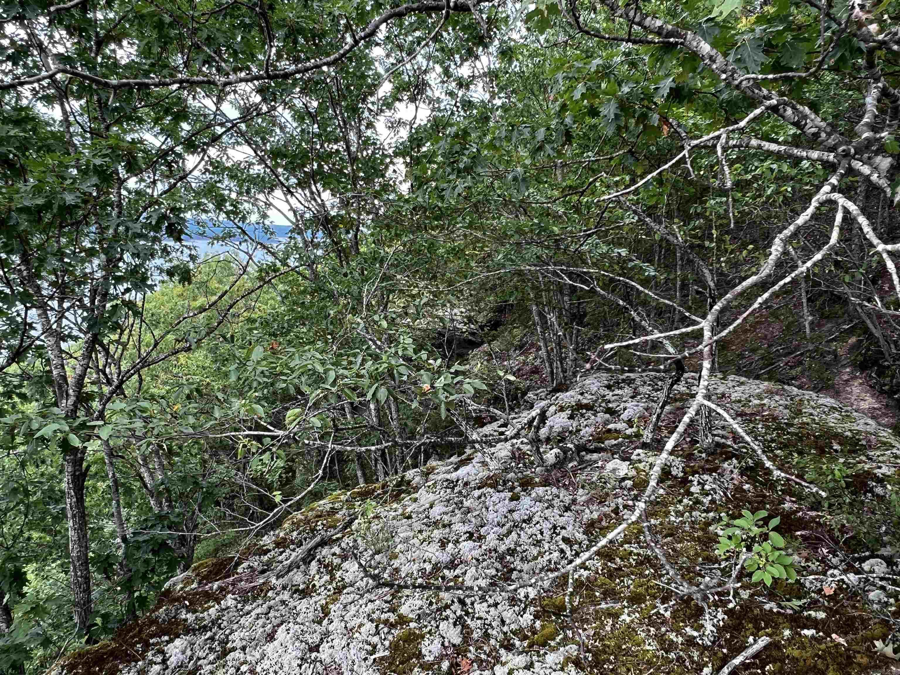 Diamond Bluff Estates - Land