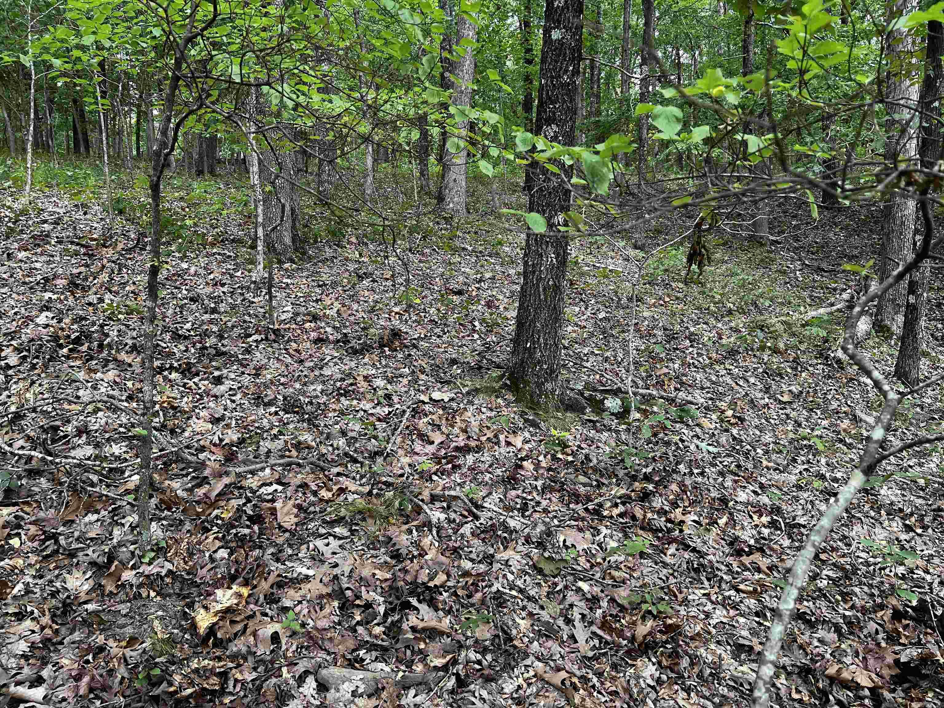 Diamond Bluff Estates - Land