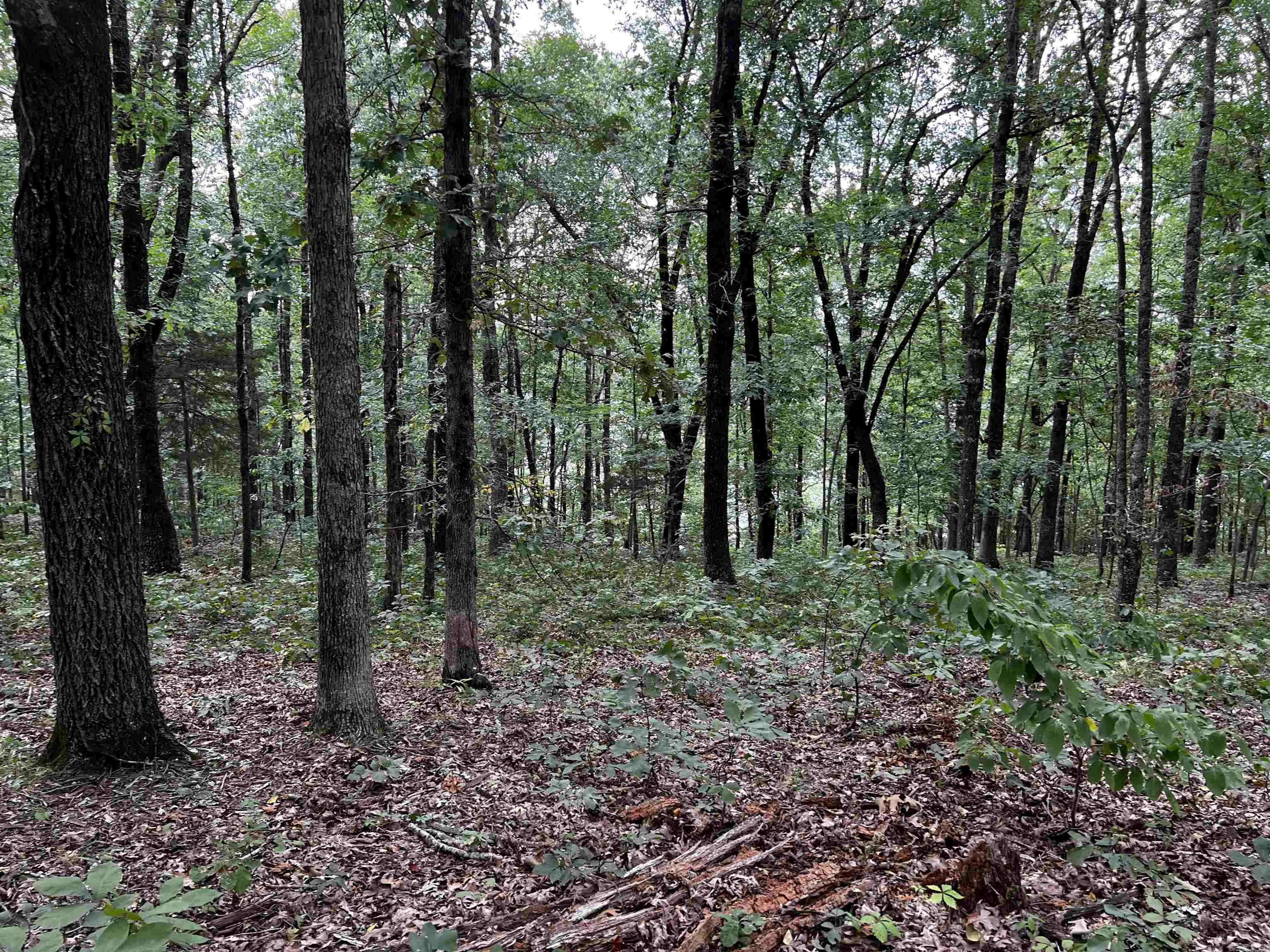 Diamond Bluff Estates - Land