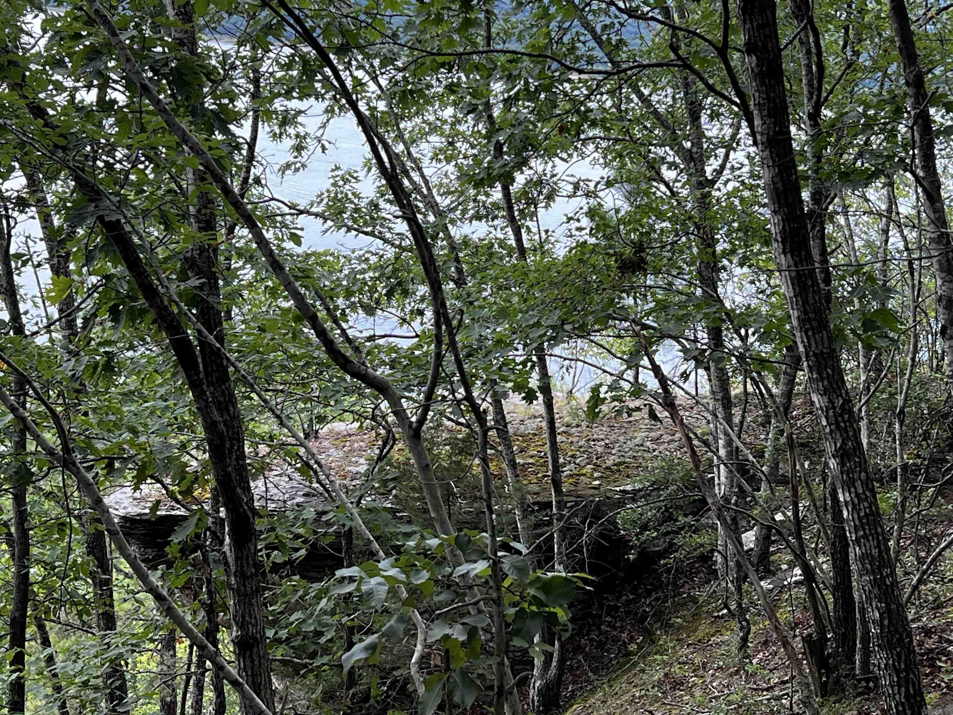 Diamond Bluff Estates - Land