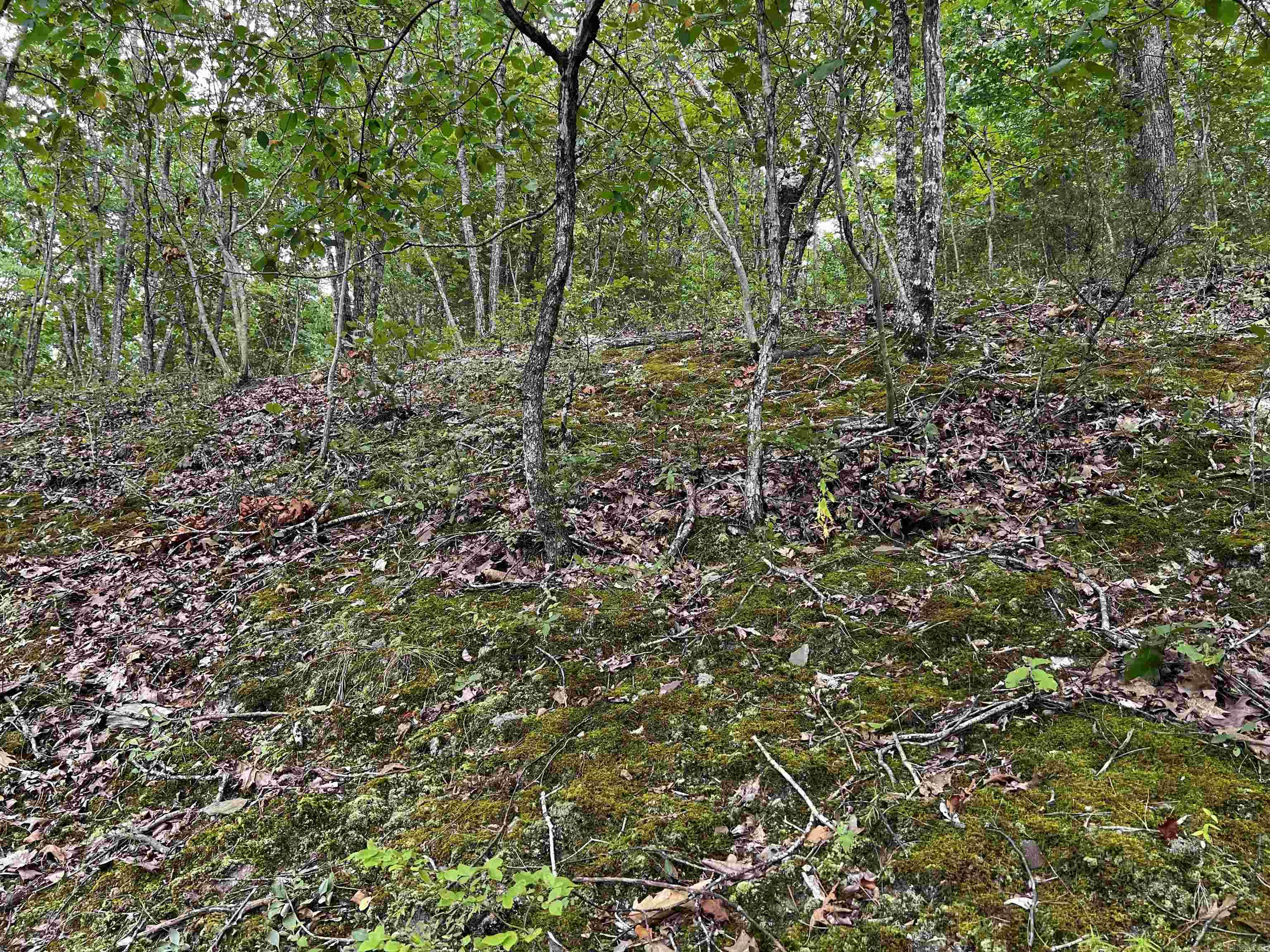 Diamond Bluff Estates - Land