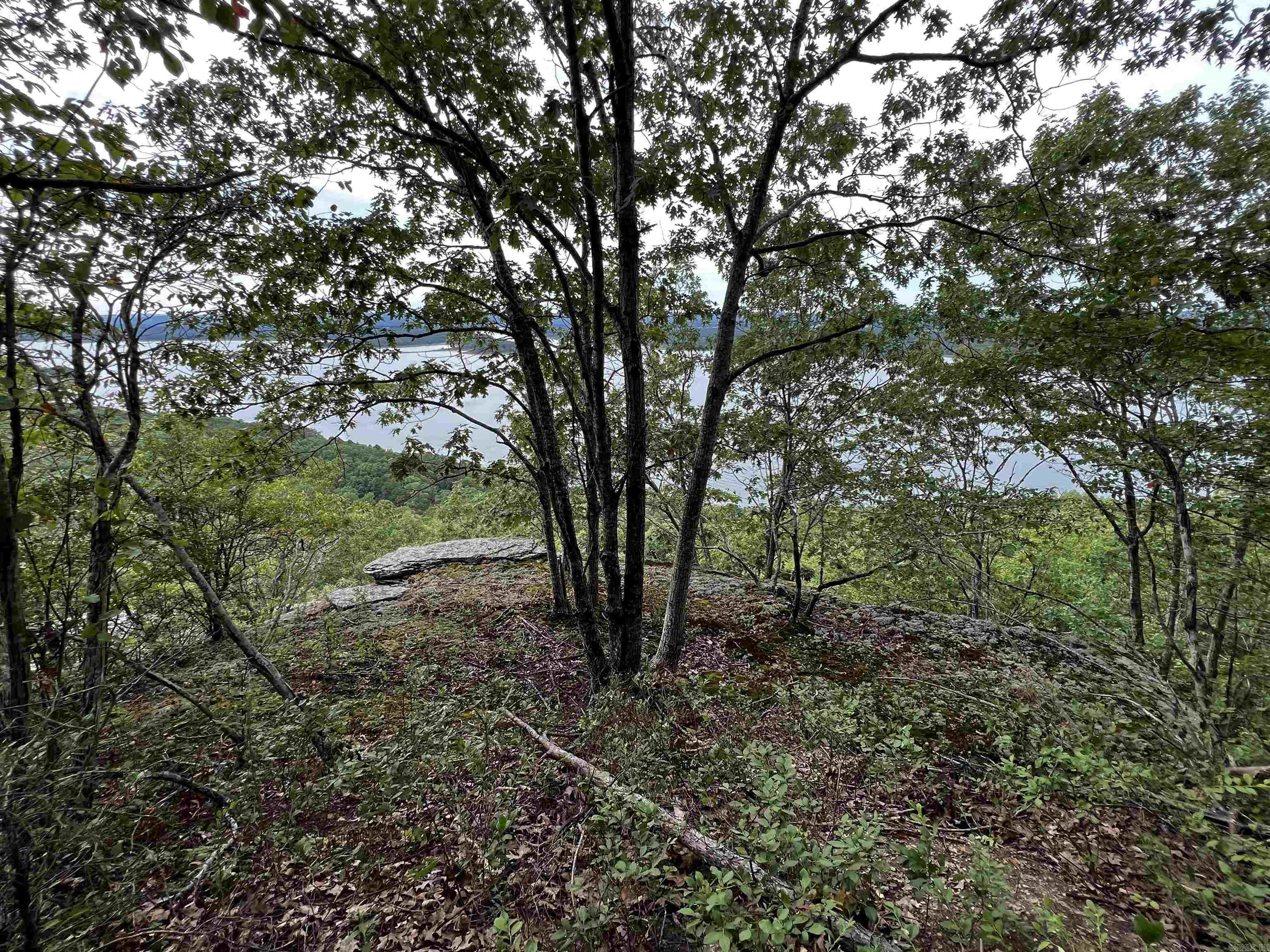 Diamond Bluff Estates - Land