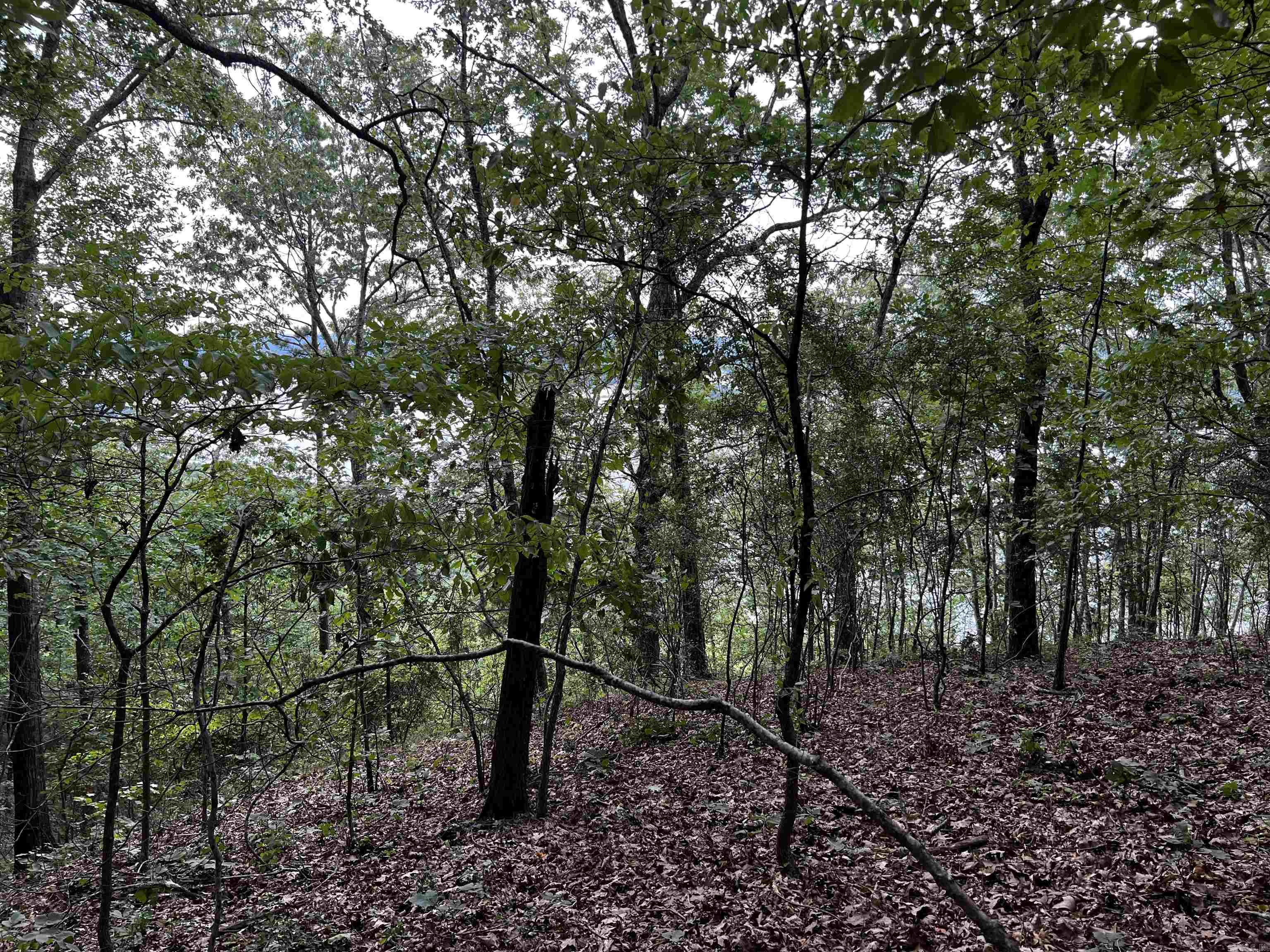 Diamond Bluff Estates - Land