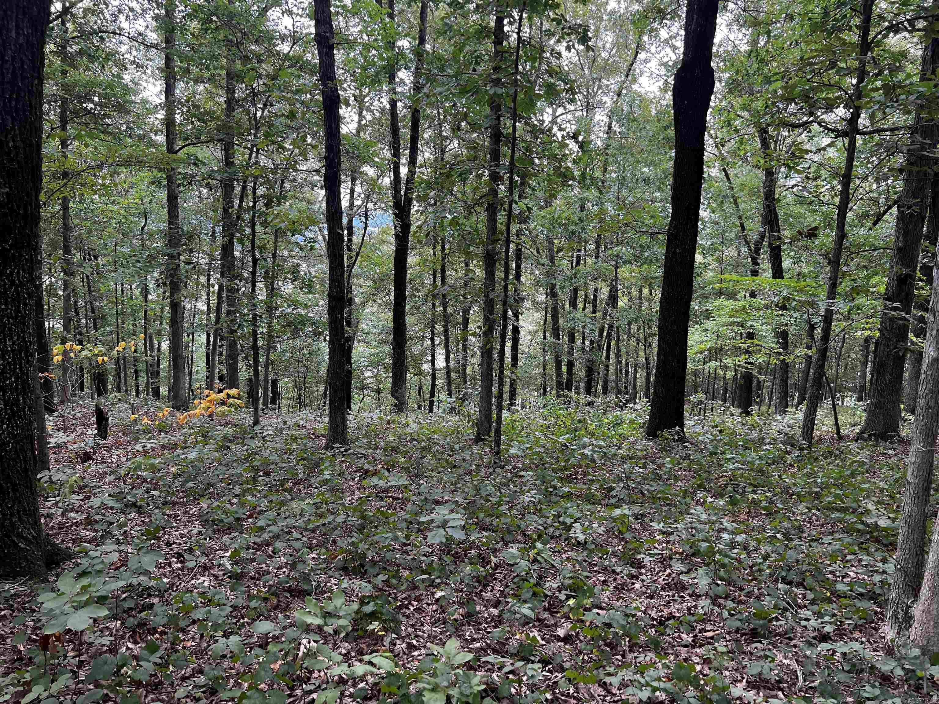 Diamond Bluff Estates - Land