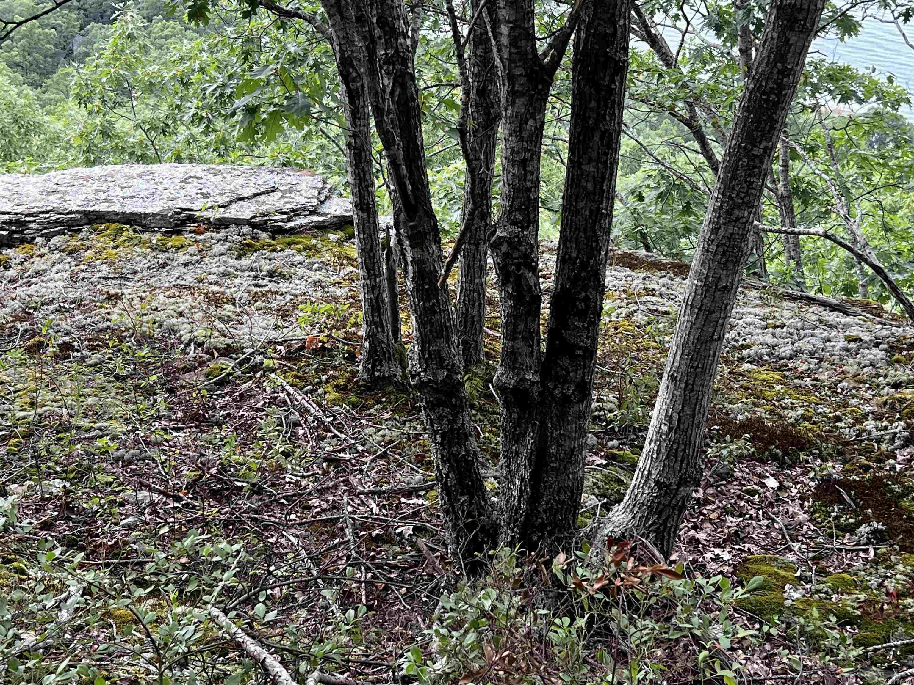 Diamond Bluff Estates - Land