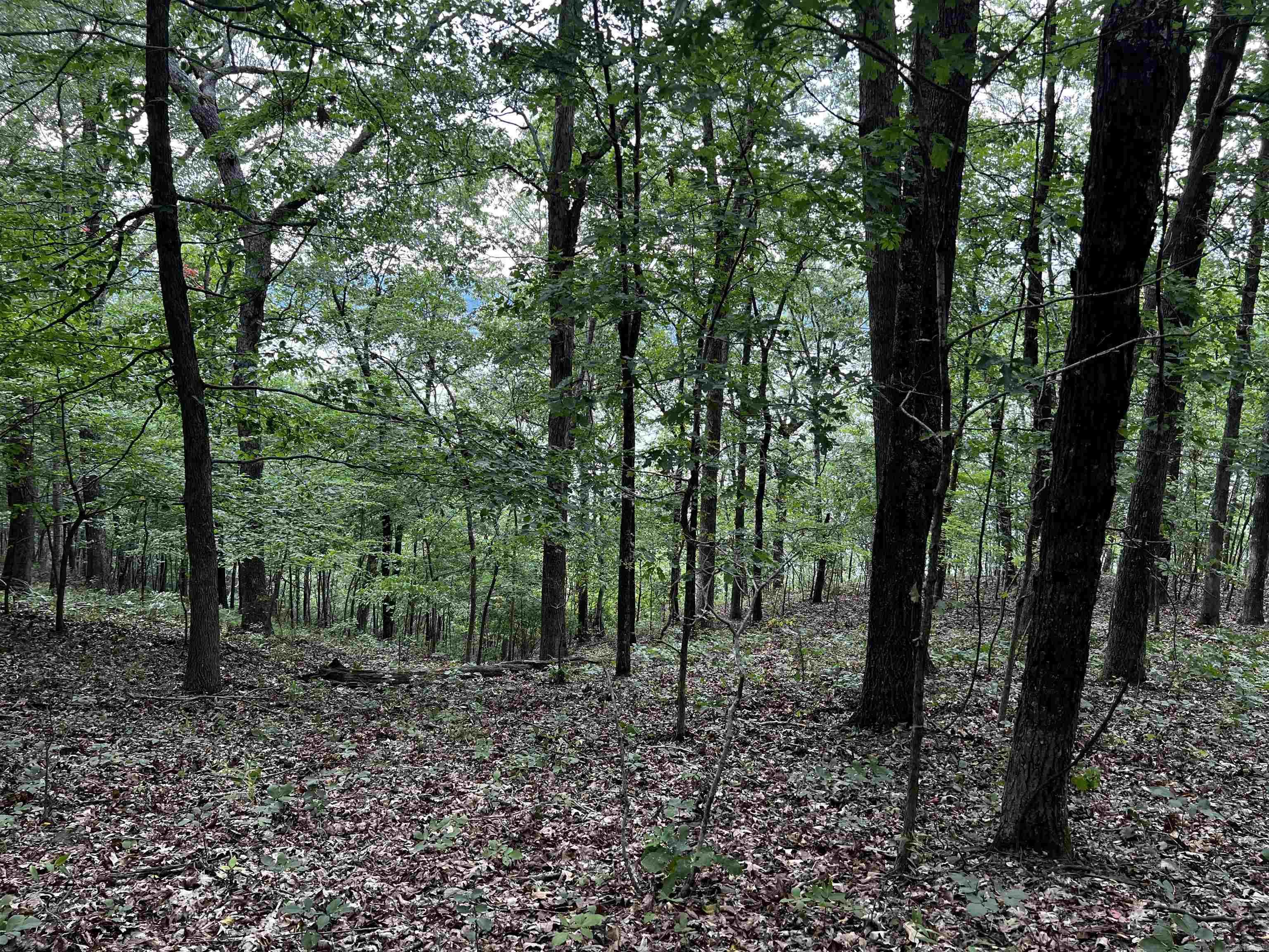 Diamond Bluff Estates - Land