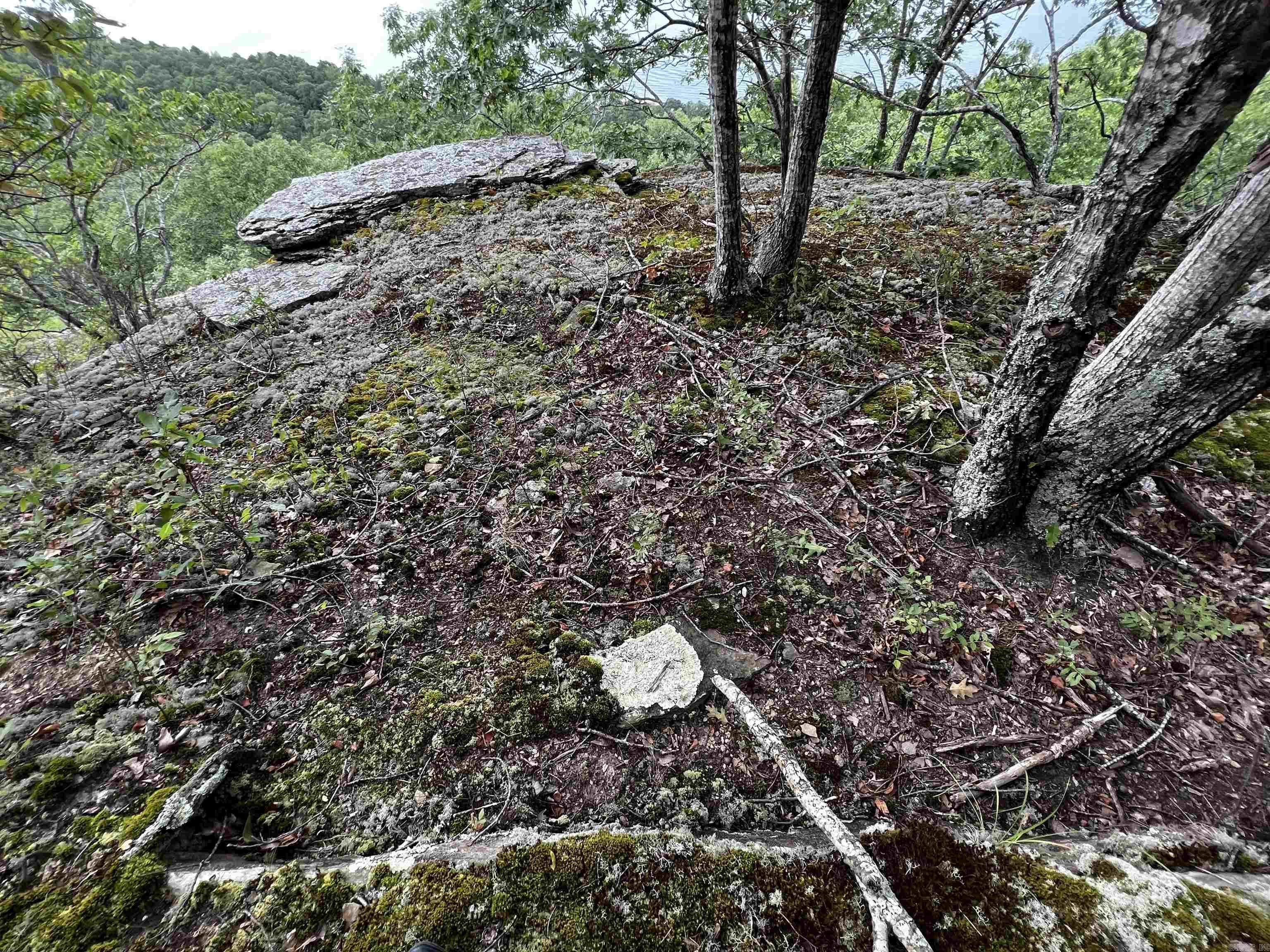 Diamond Bluff Estates - Land