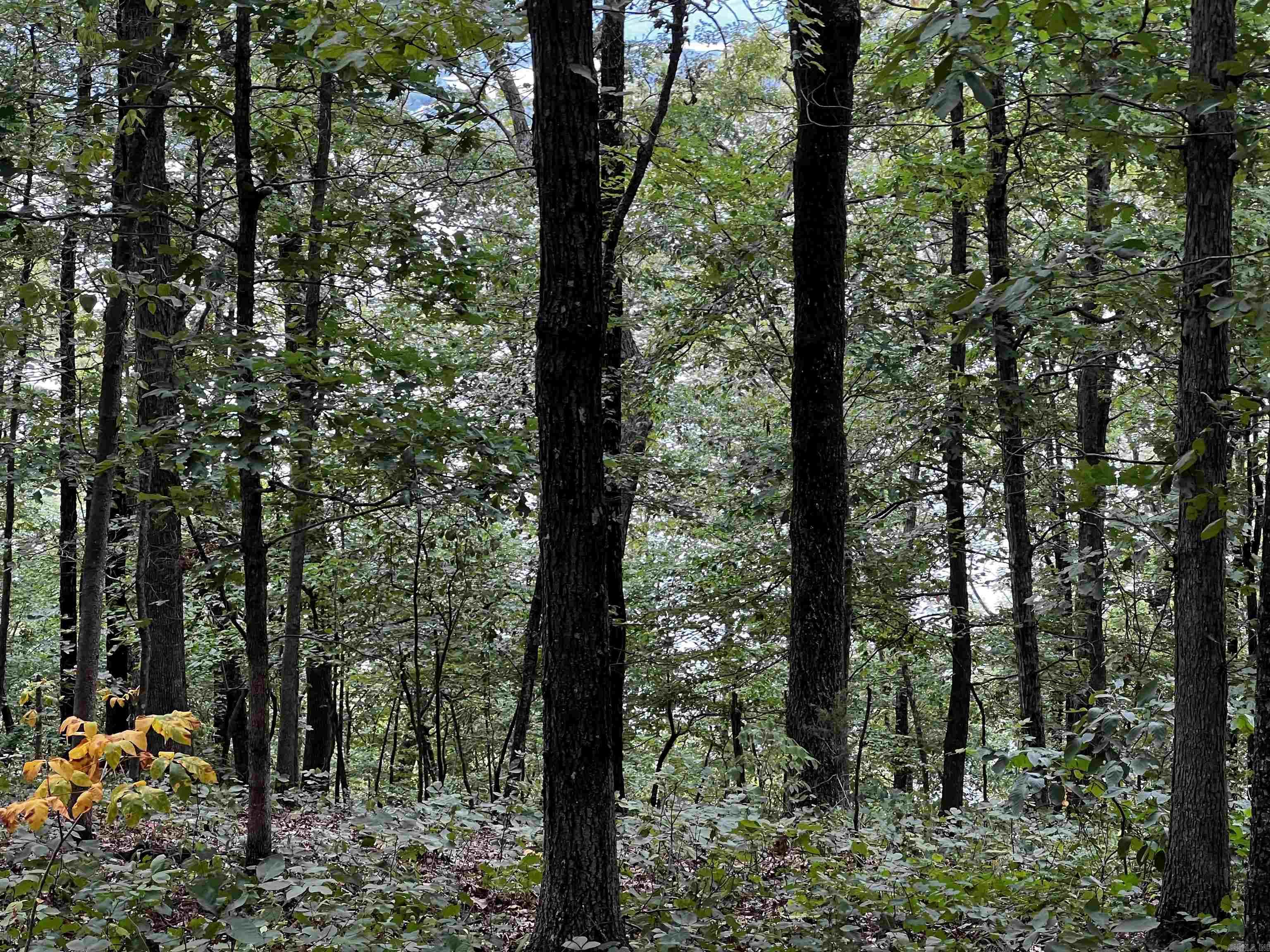 Diamond Bluff Estates - Land