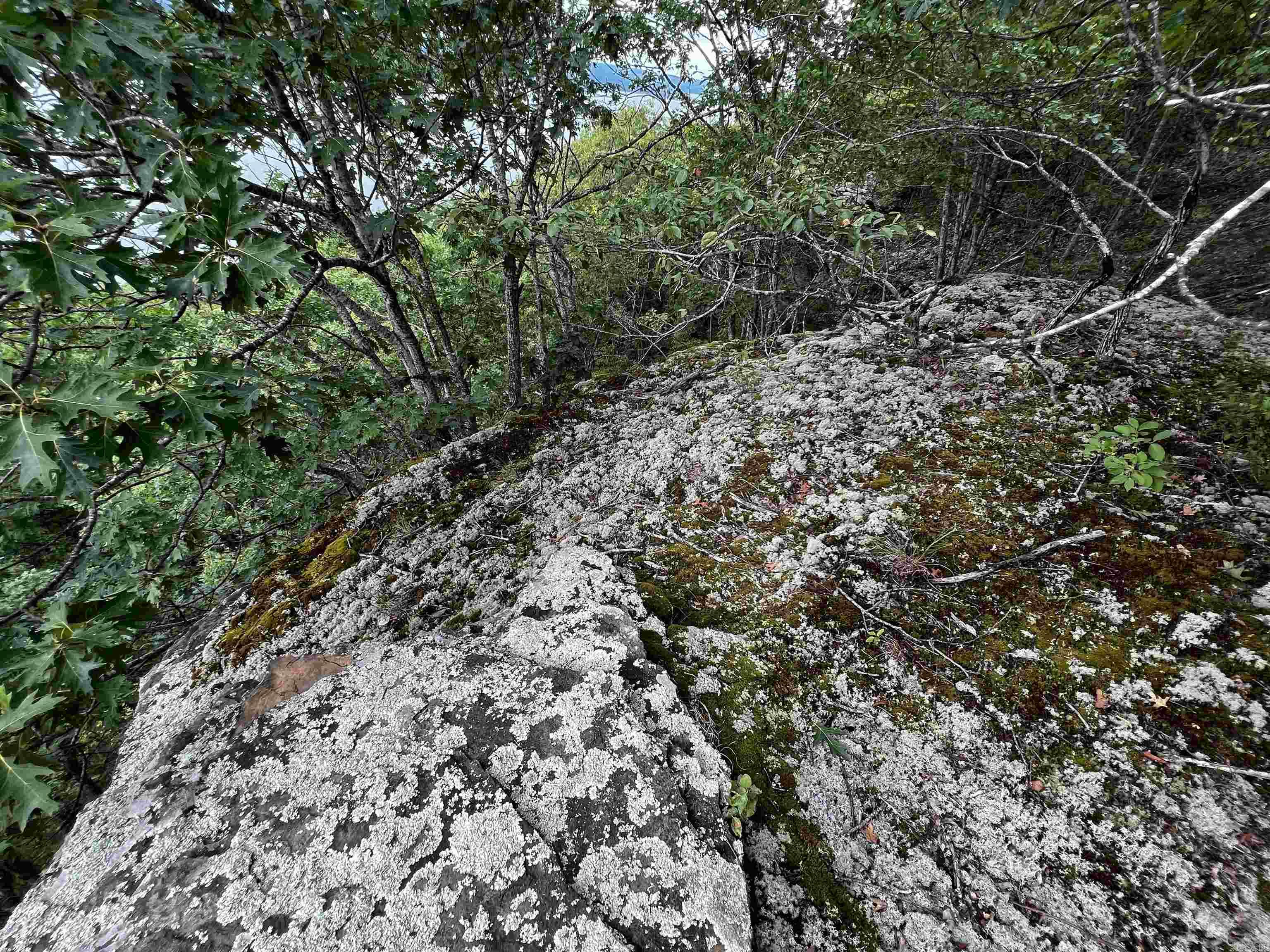 Diamond Bluff Estates - Land