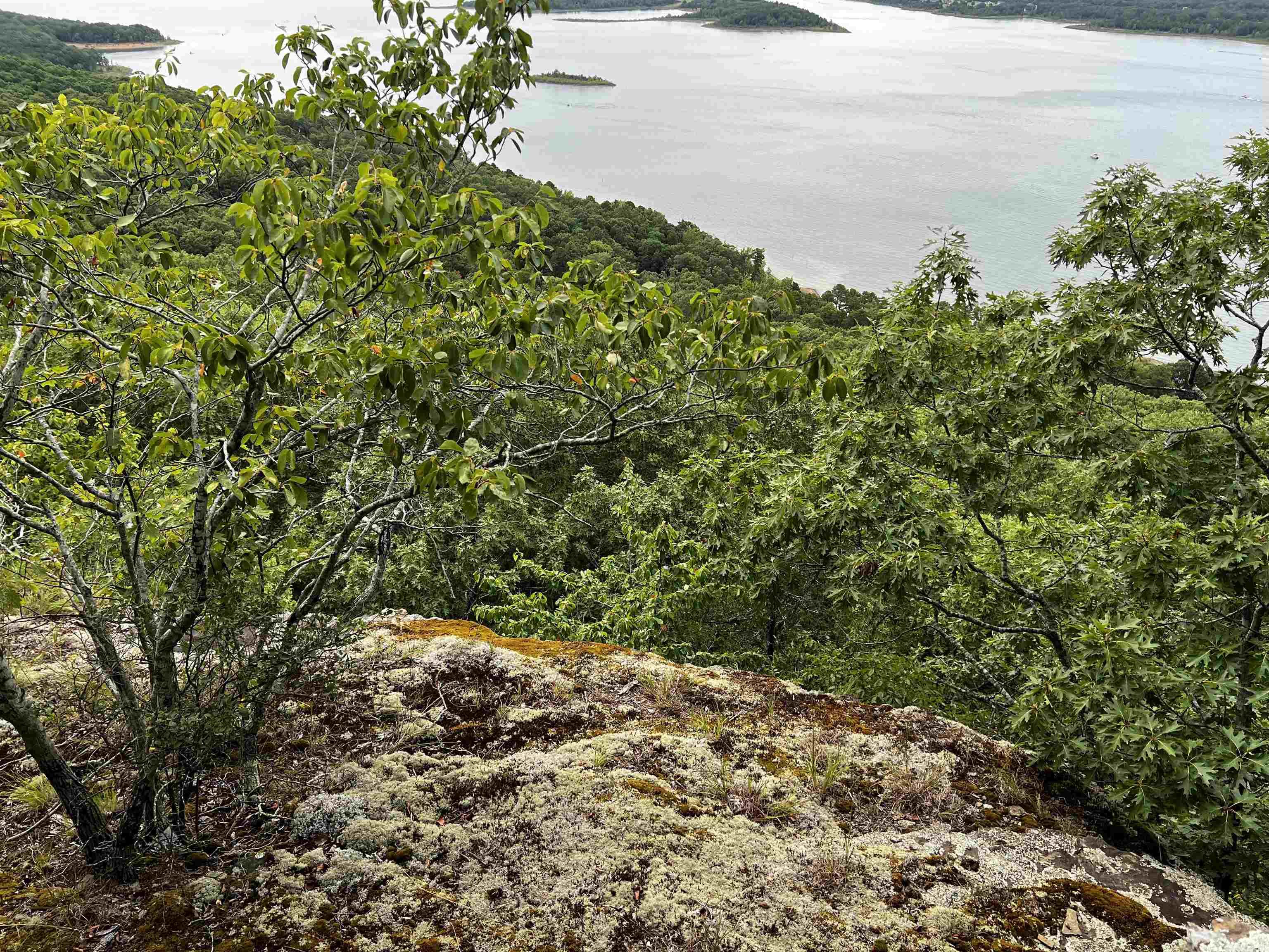 Diamond Bluff Estates - Land