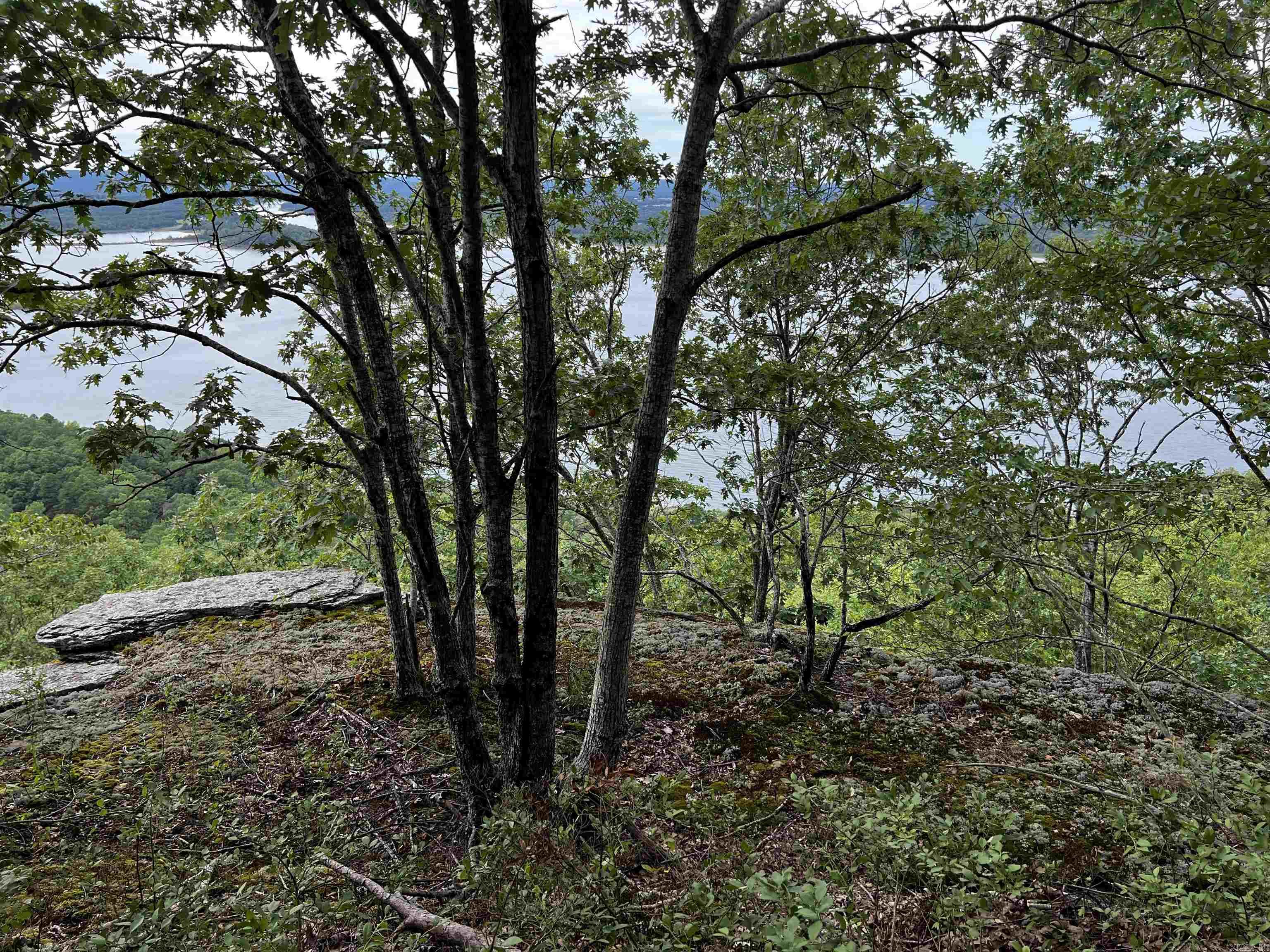 Diamond Bluff Estates - Land