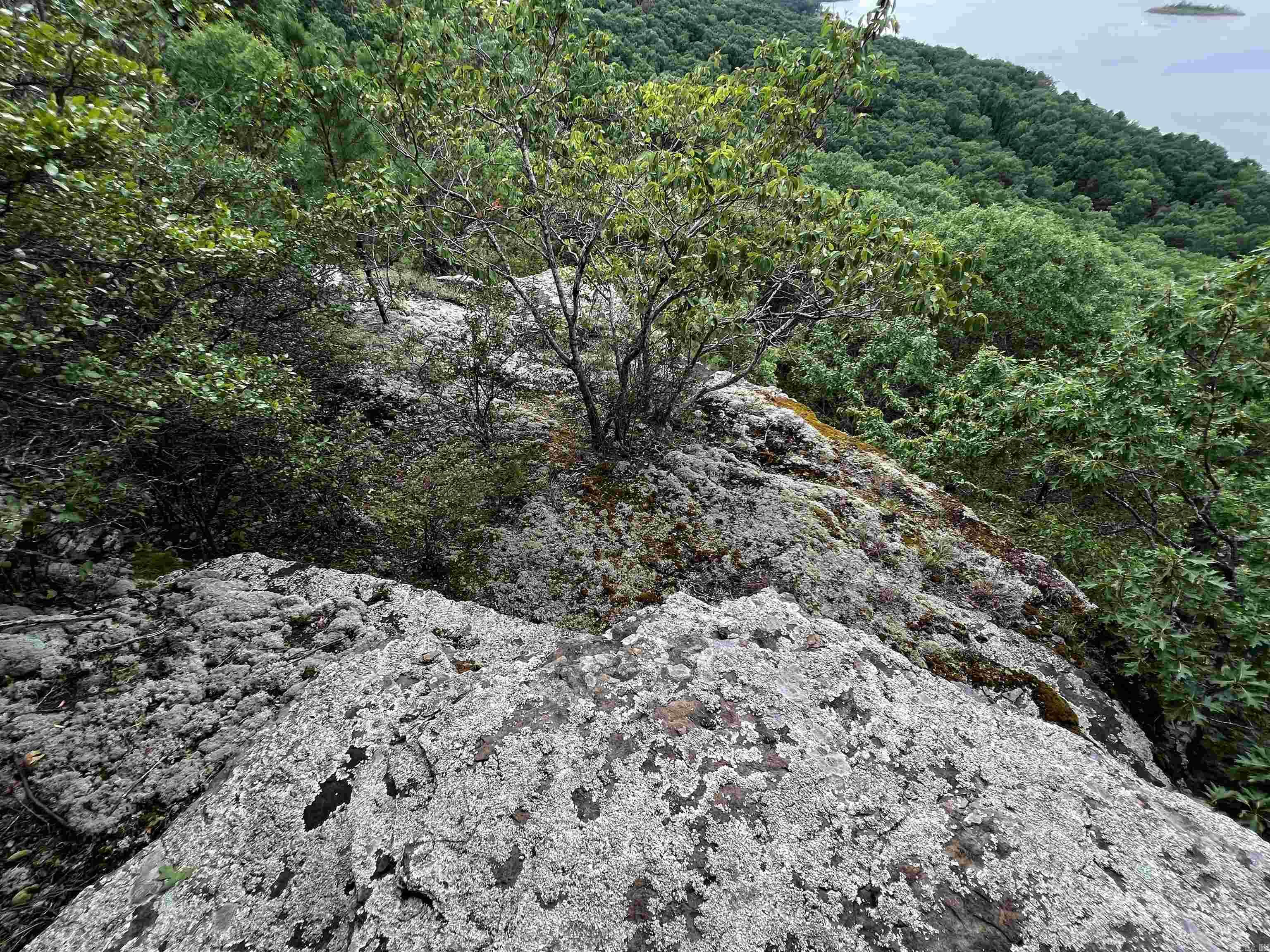 Diamond Bluff Estates - Land