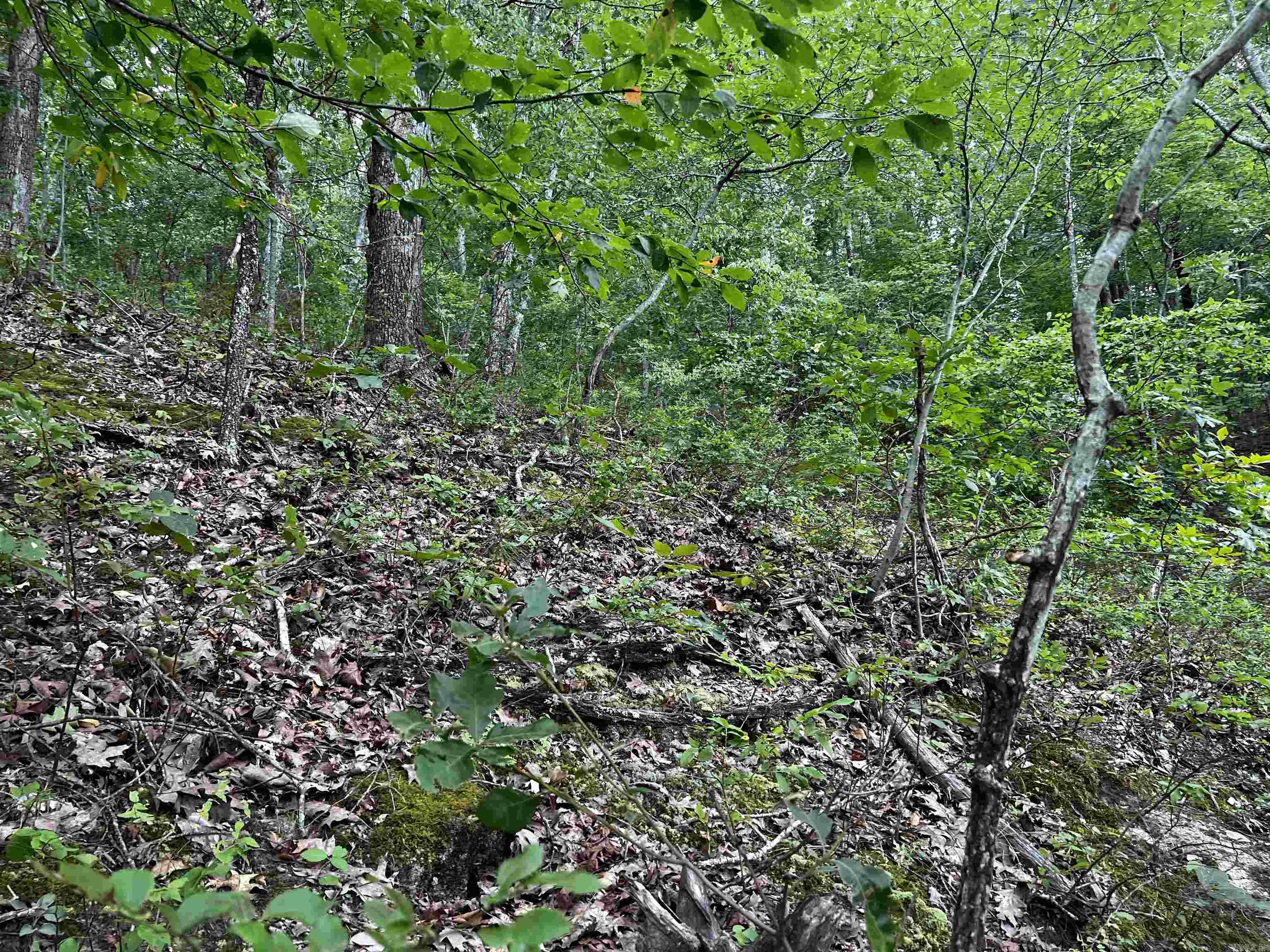 Diamond Bluff Estates - Land