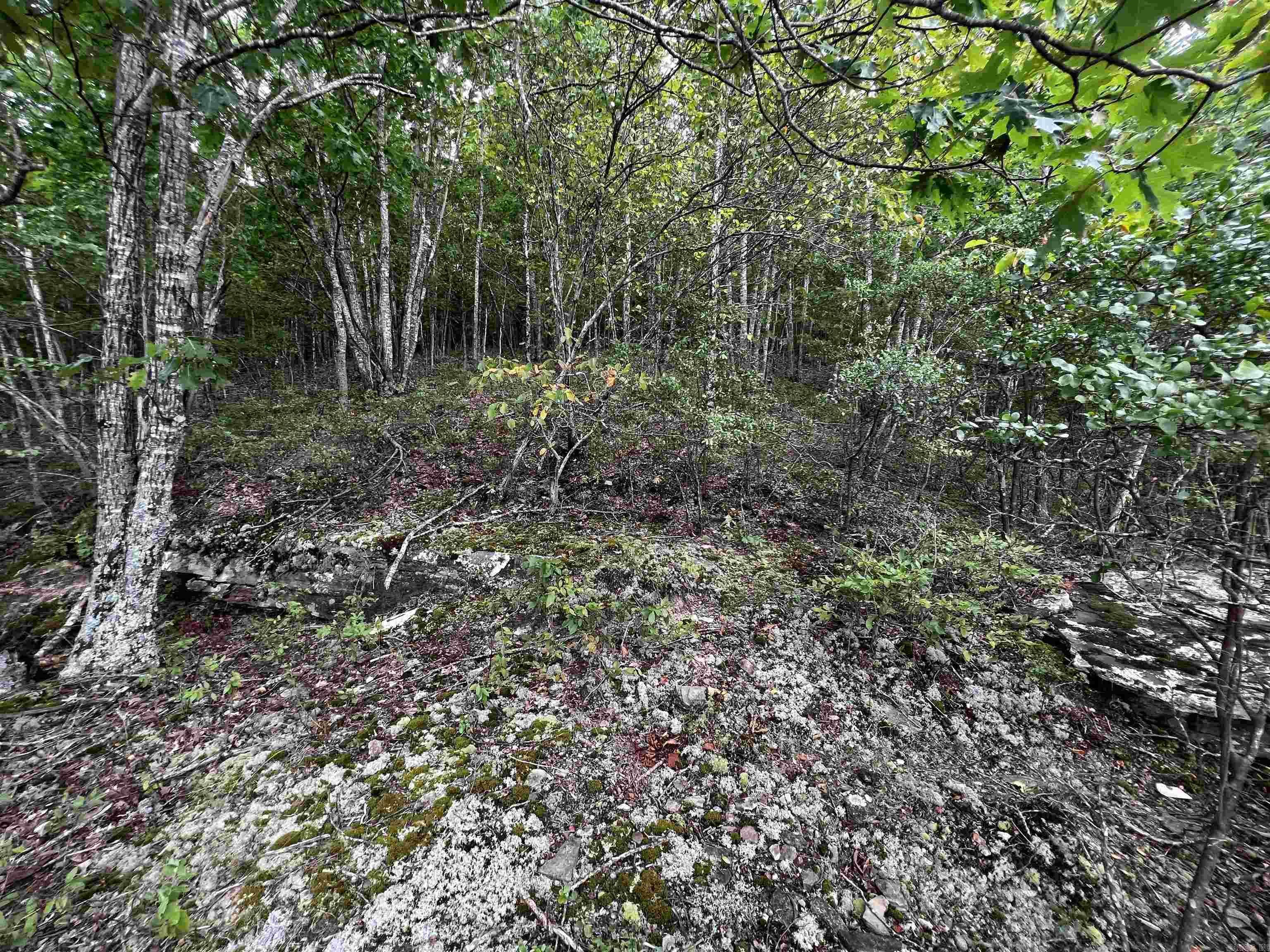 Diamond Bluff Estates - Land