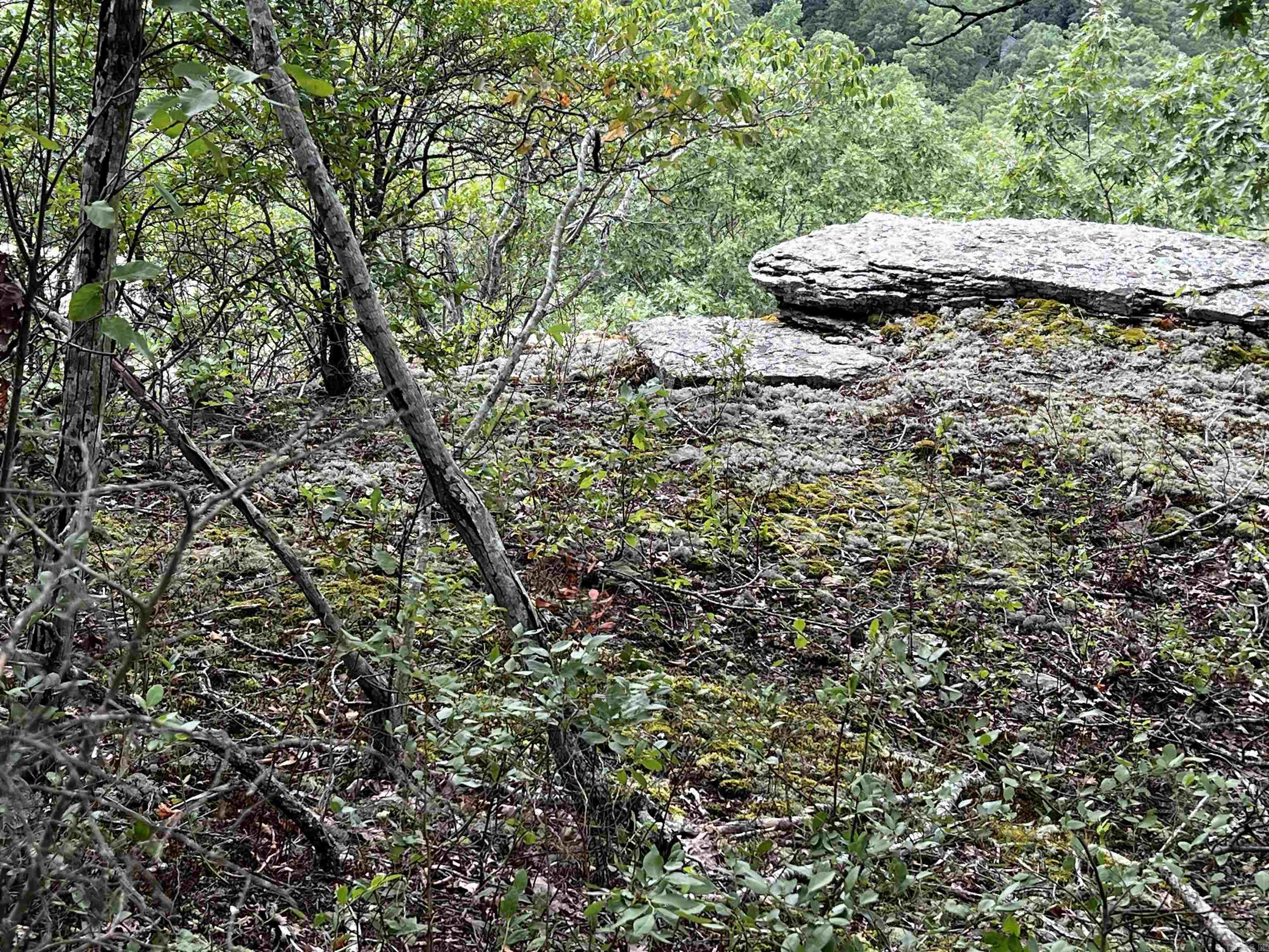 Diamond Bluff Estates - Land