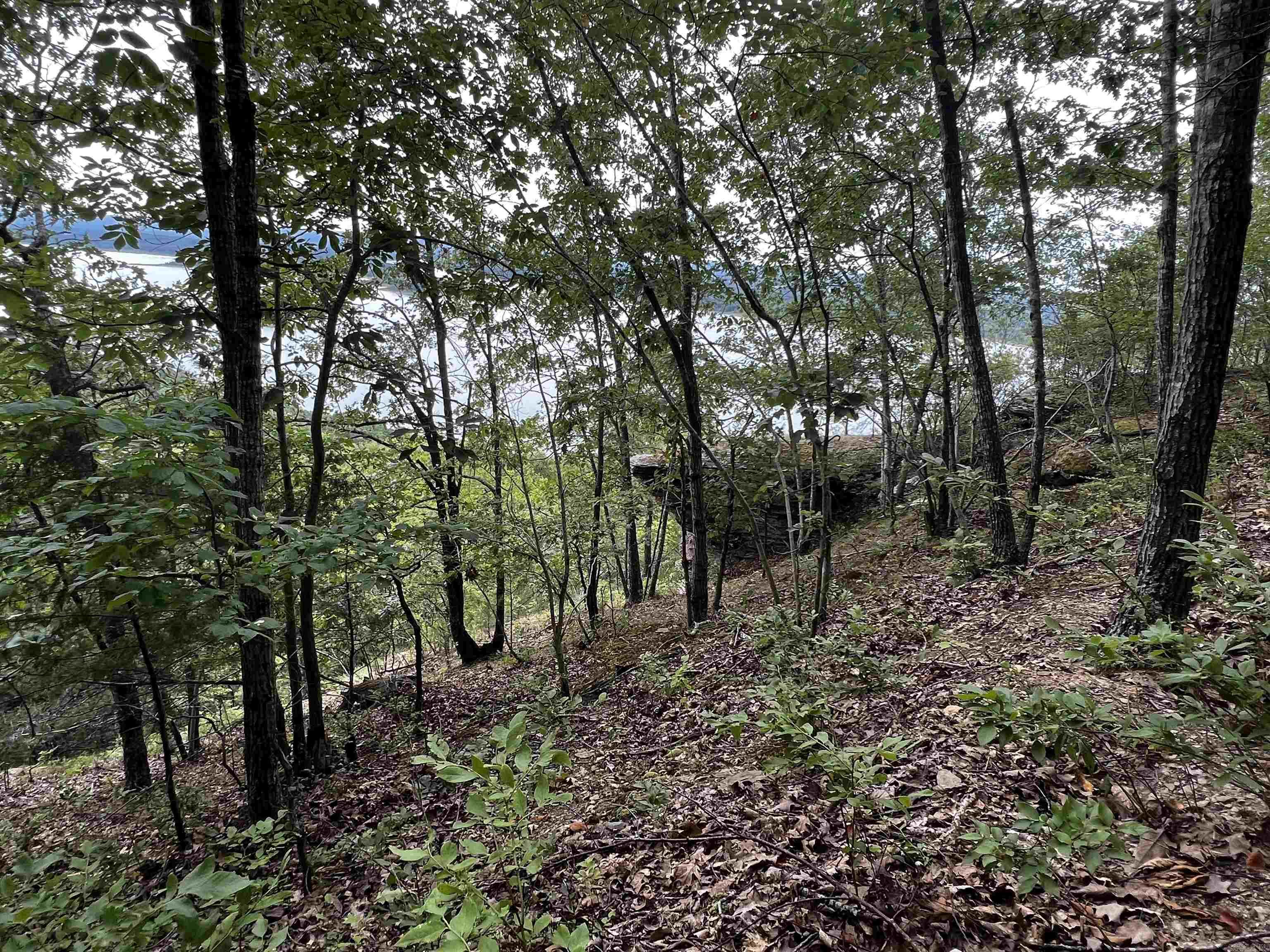 Diamond Bluff Estates - Land