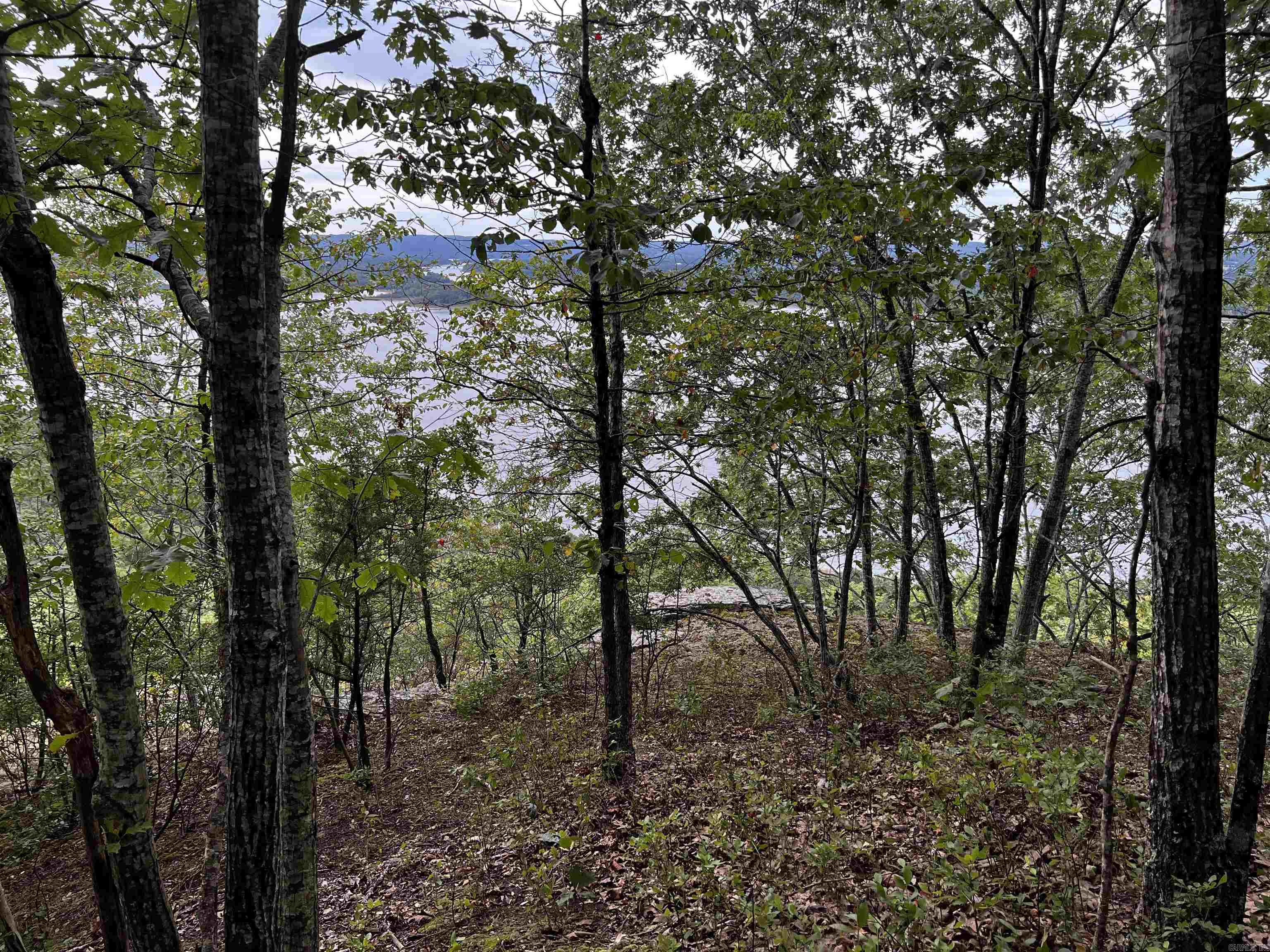 Diamond Bluff Estates - Land