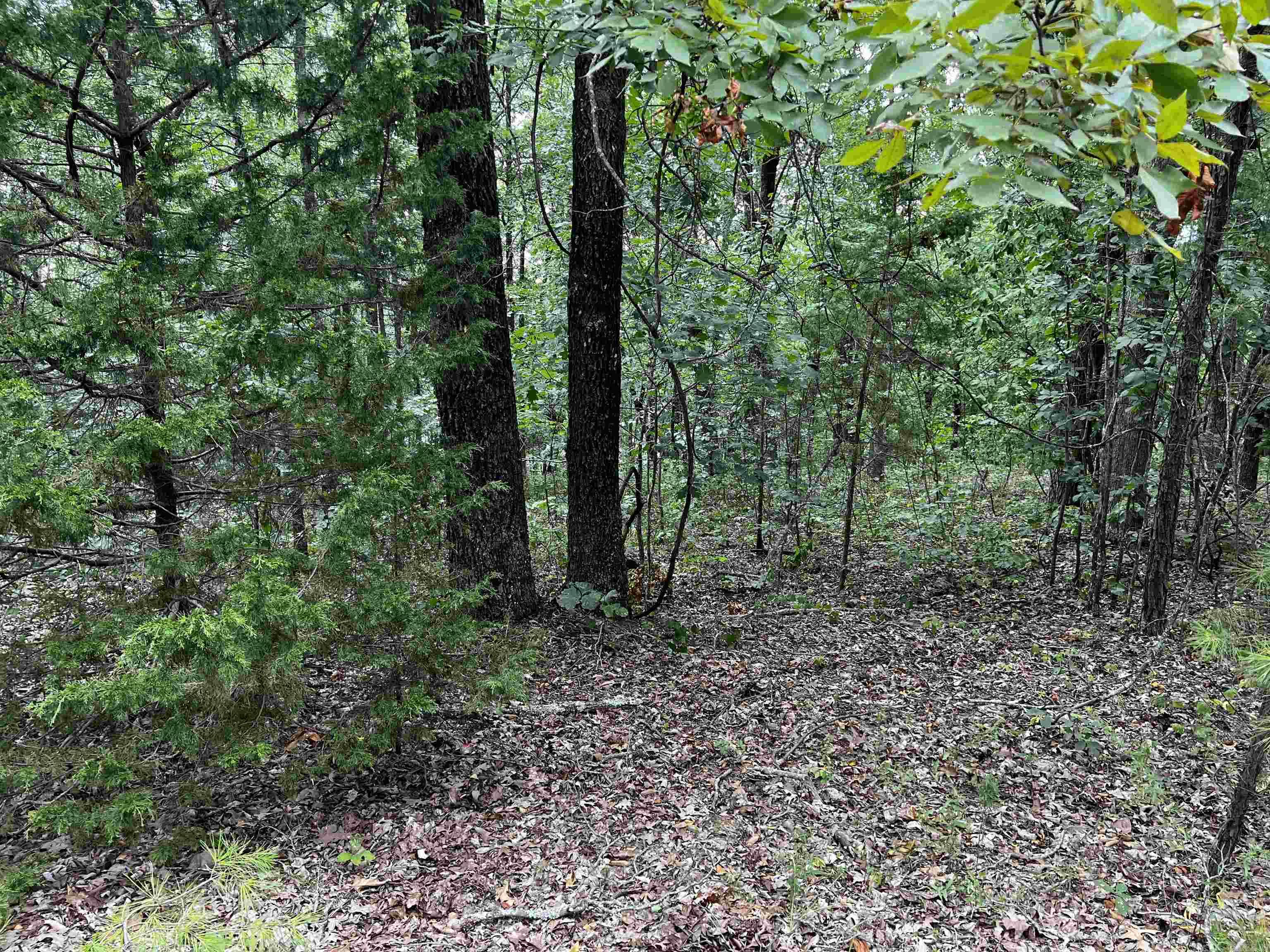 Diamond Bluff Estates - Land