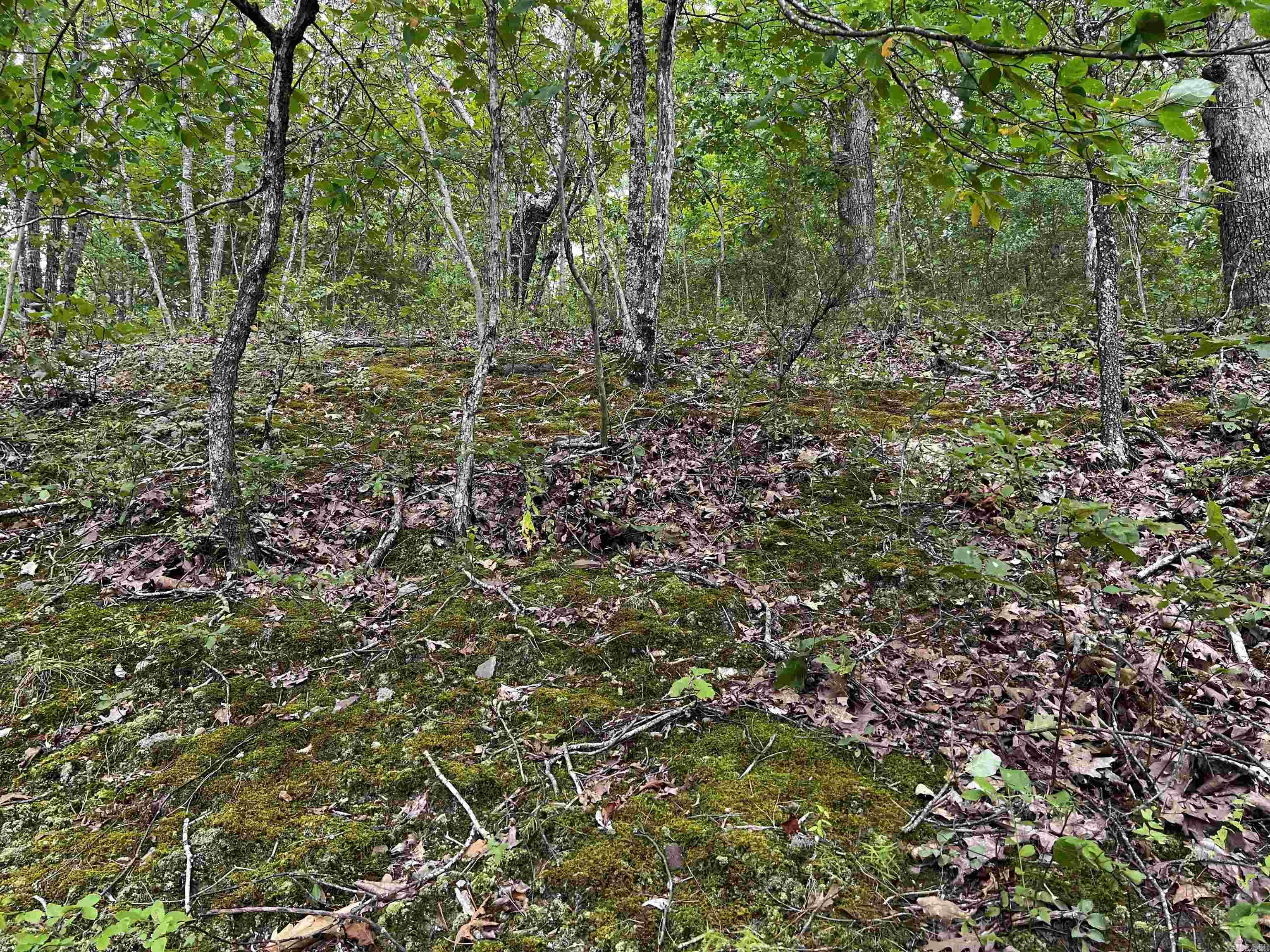 Diamond Bluff Estates - Land