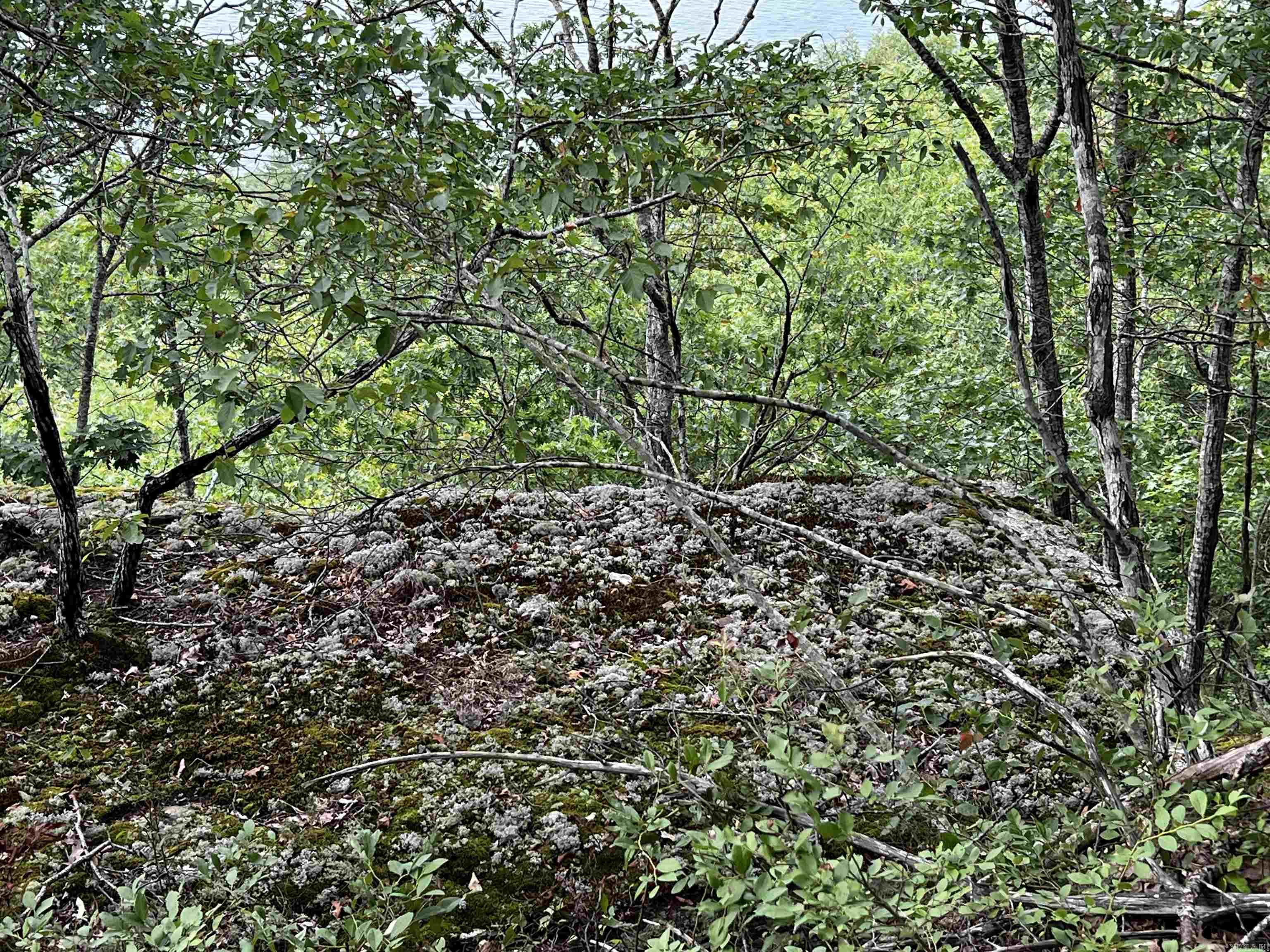 Diamond Bluff Estates - Land