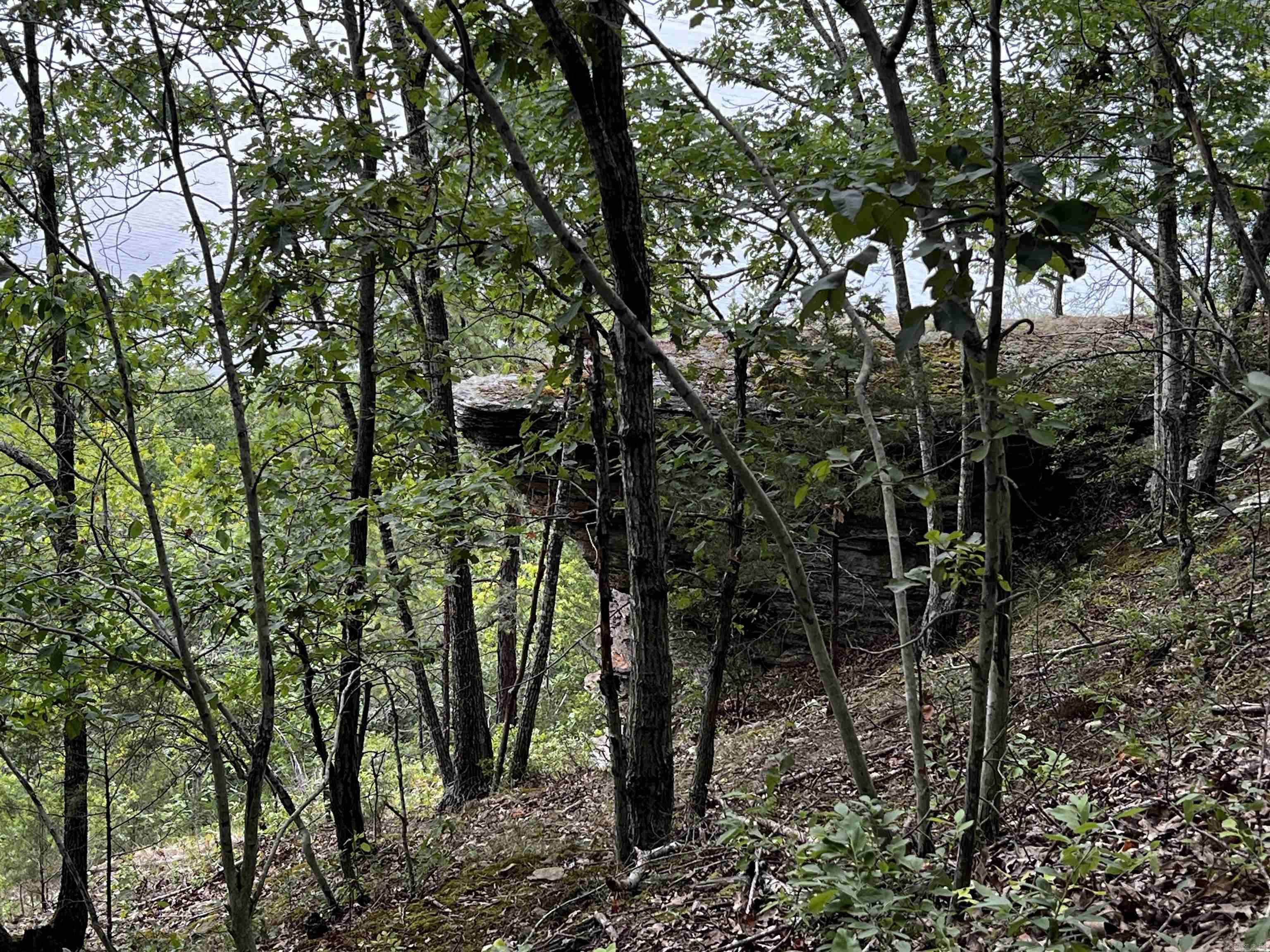 Diamond Bluff Estates - Land