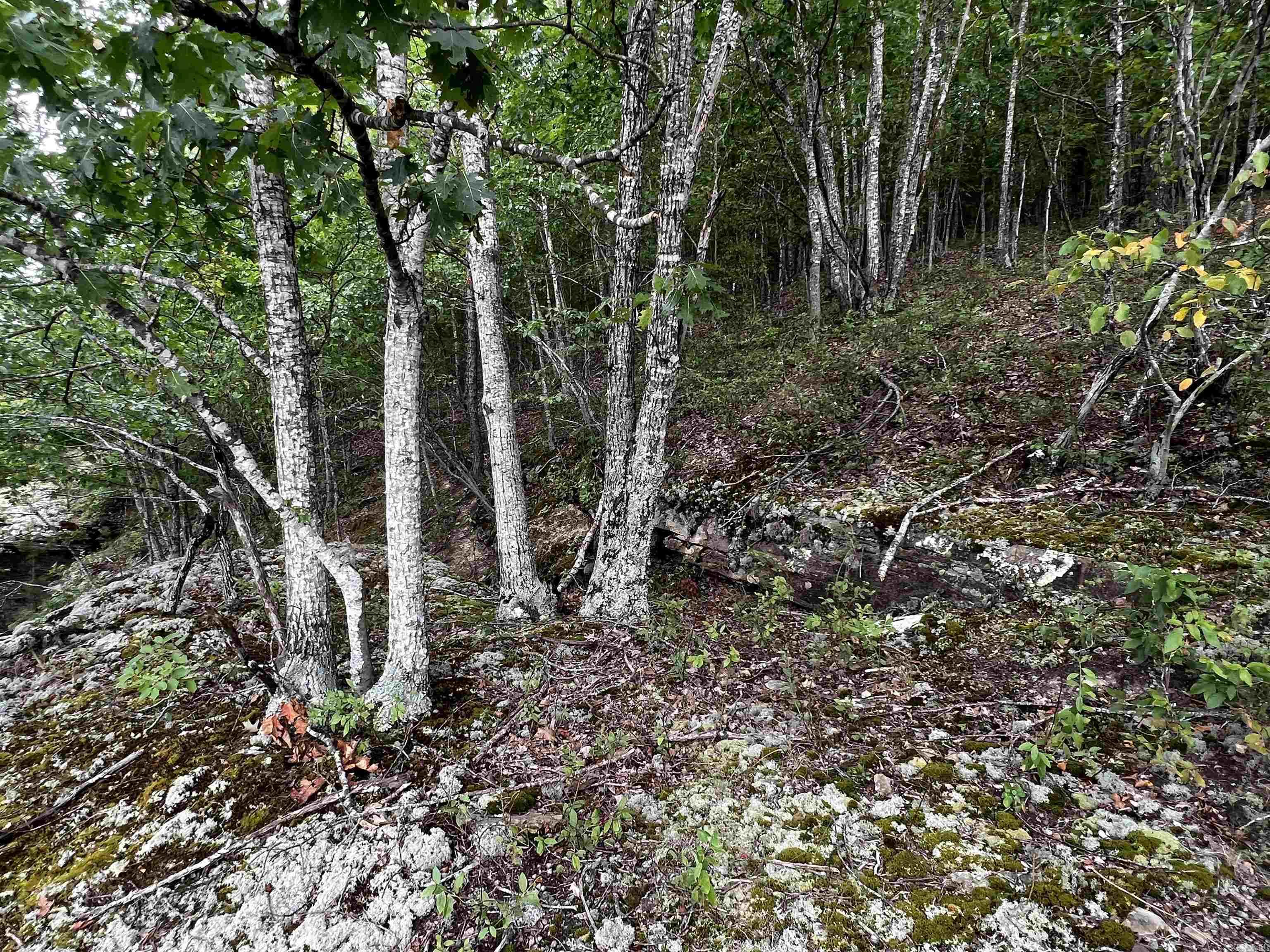 Diamond Bluff Estates - Land