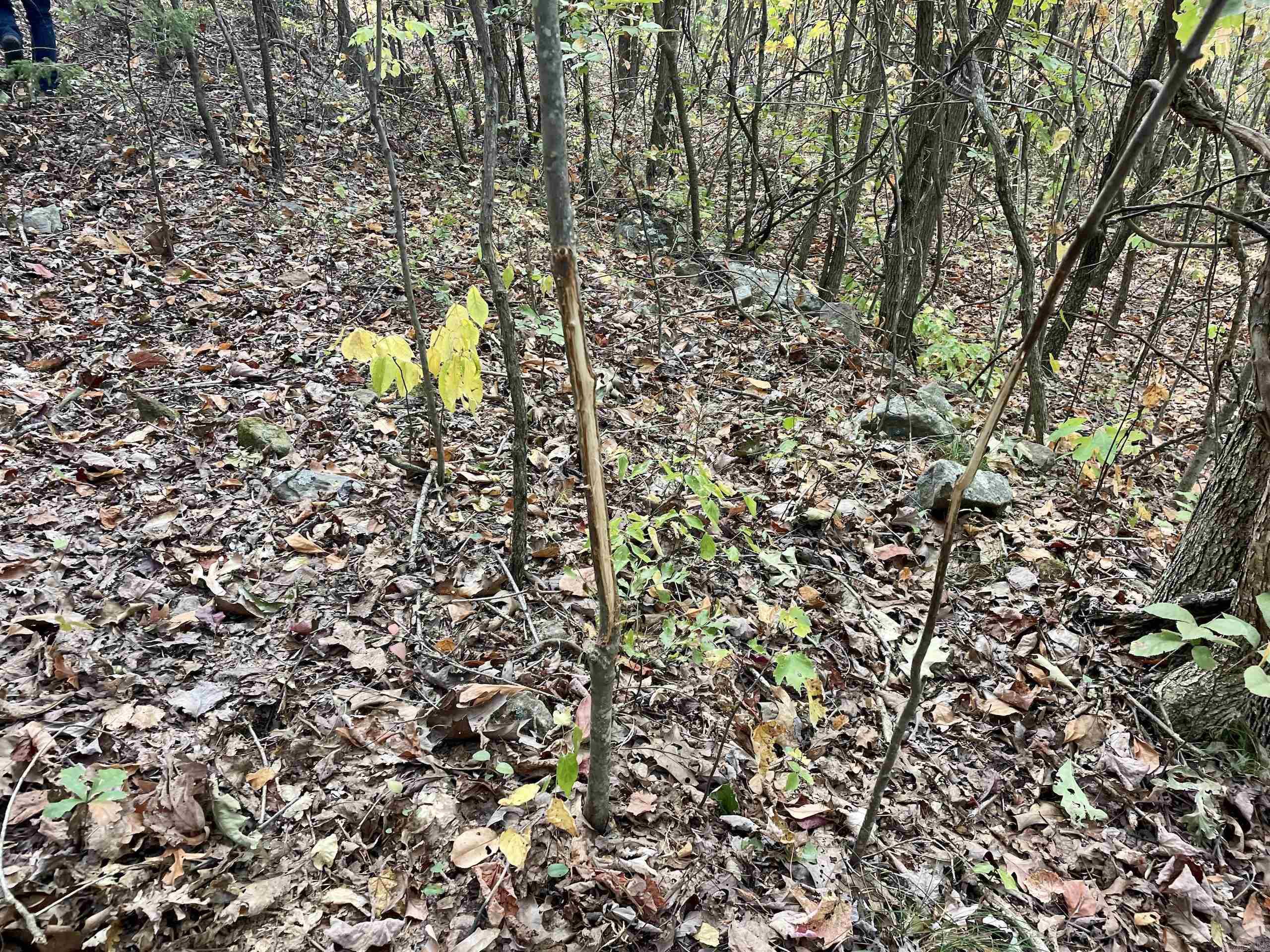 Not in Subdivision - Land