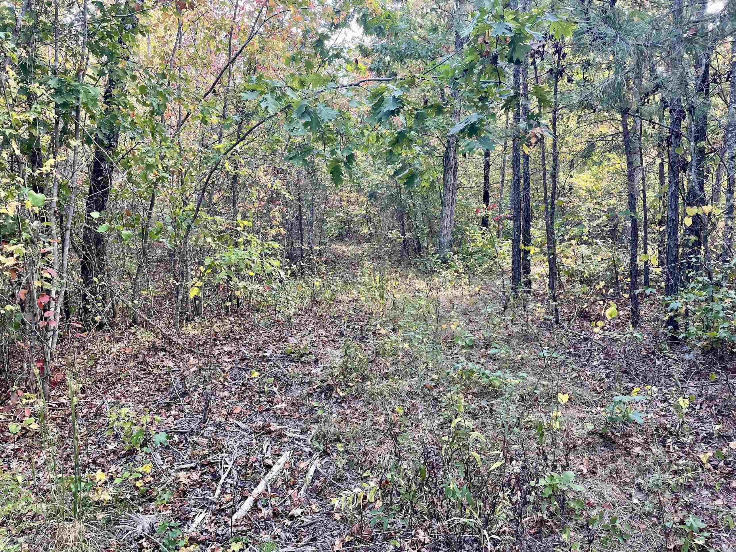 Not in Subdivision - Land