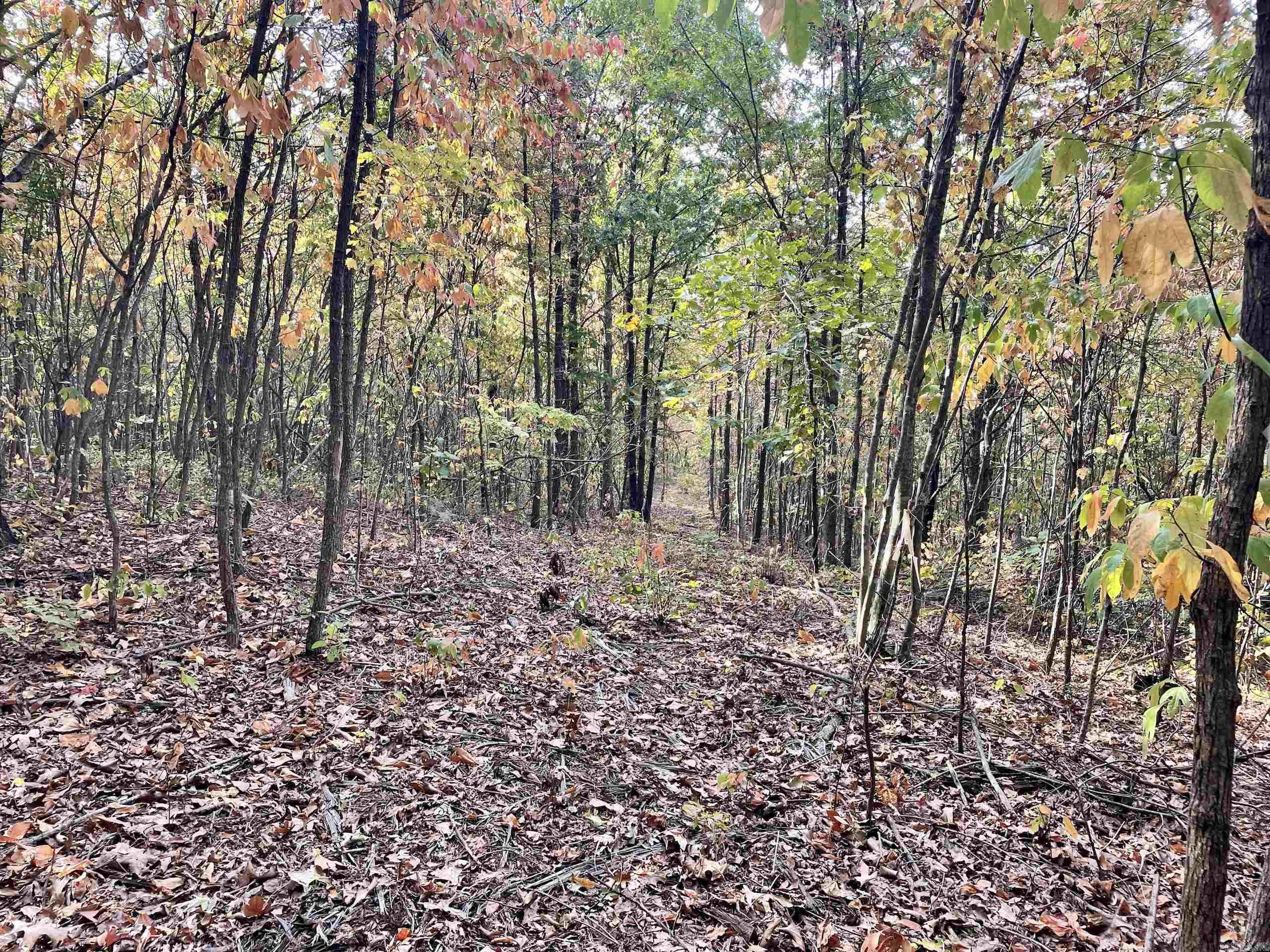 Not in Subdivision - Land