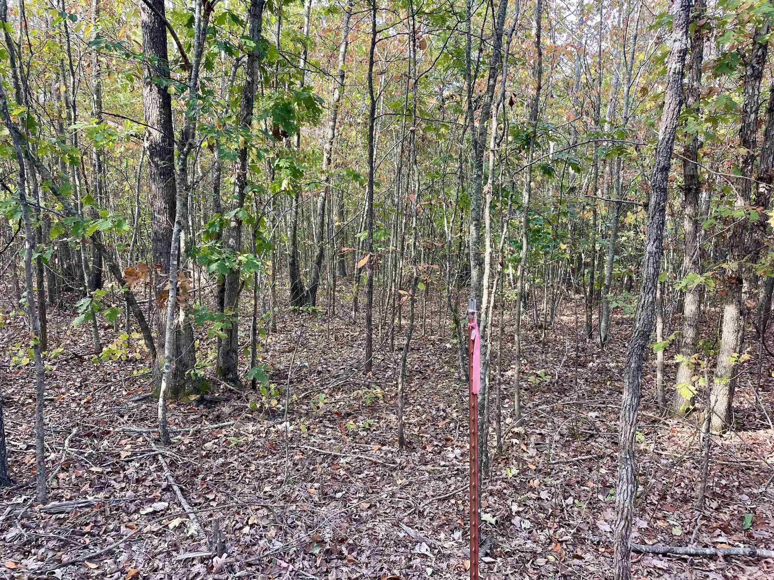 Not in Subdivision - Land